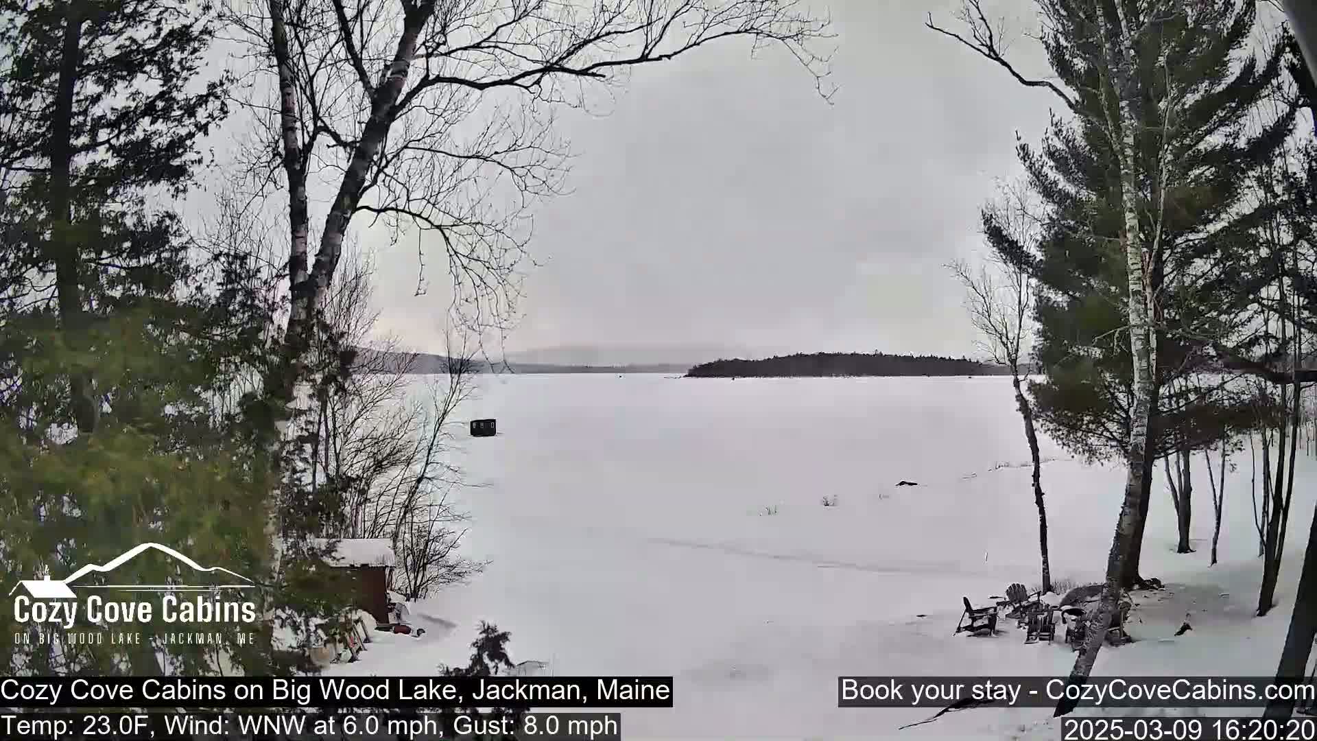 A snow-covered frozen lake is seen from a snowy shoreline, with bare trees and a cloudy sky.