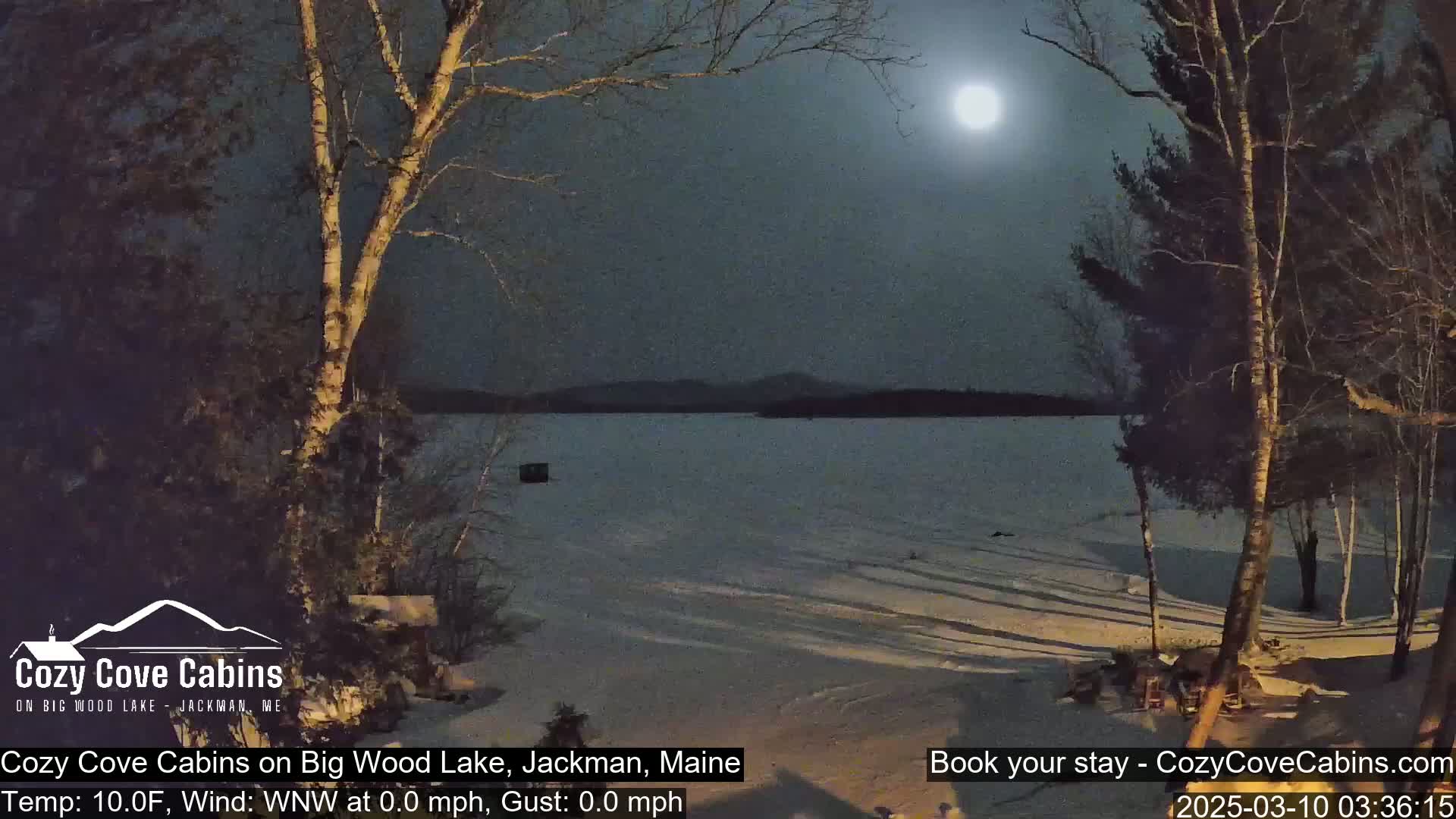 A bright moon illuminates a snow-covered lake and shoreline under a clear night sky, with bare trees silhouetted against the water and distant hills.