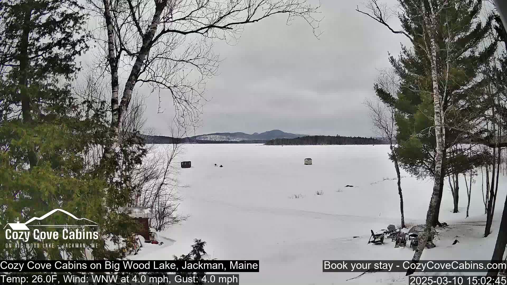 A snow-covered frozen lake stretches to distant mountains under an overcast sky, viewed from a snowy lakeshore with sparse trees.