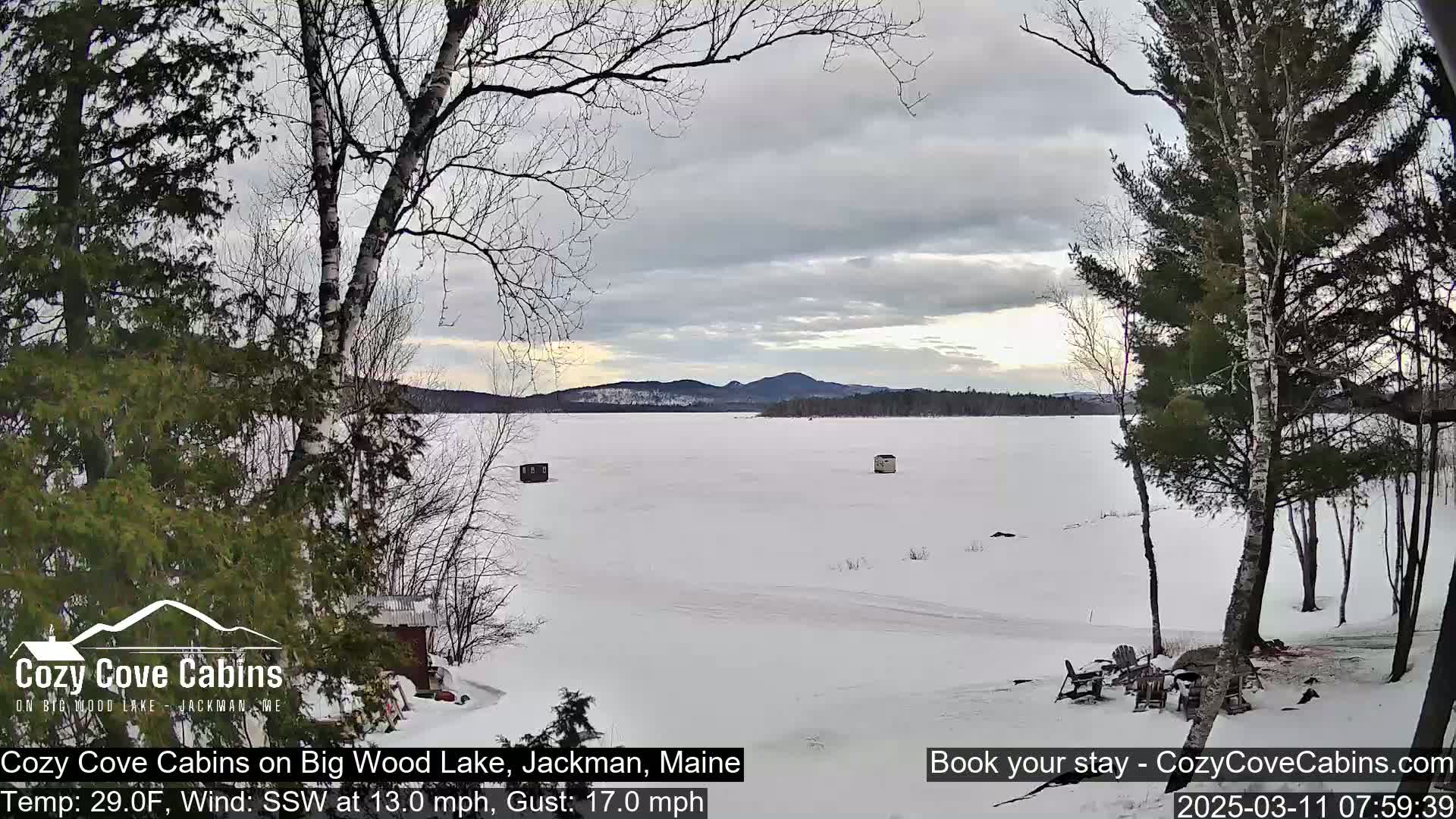A snow-covered frozen lake with distant mountains under a cloudy sky is seen from a snowy lakeside vantage point with leafless trees in the foreground.