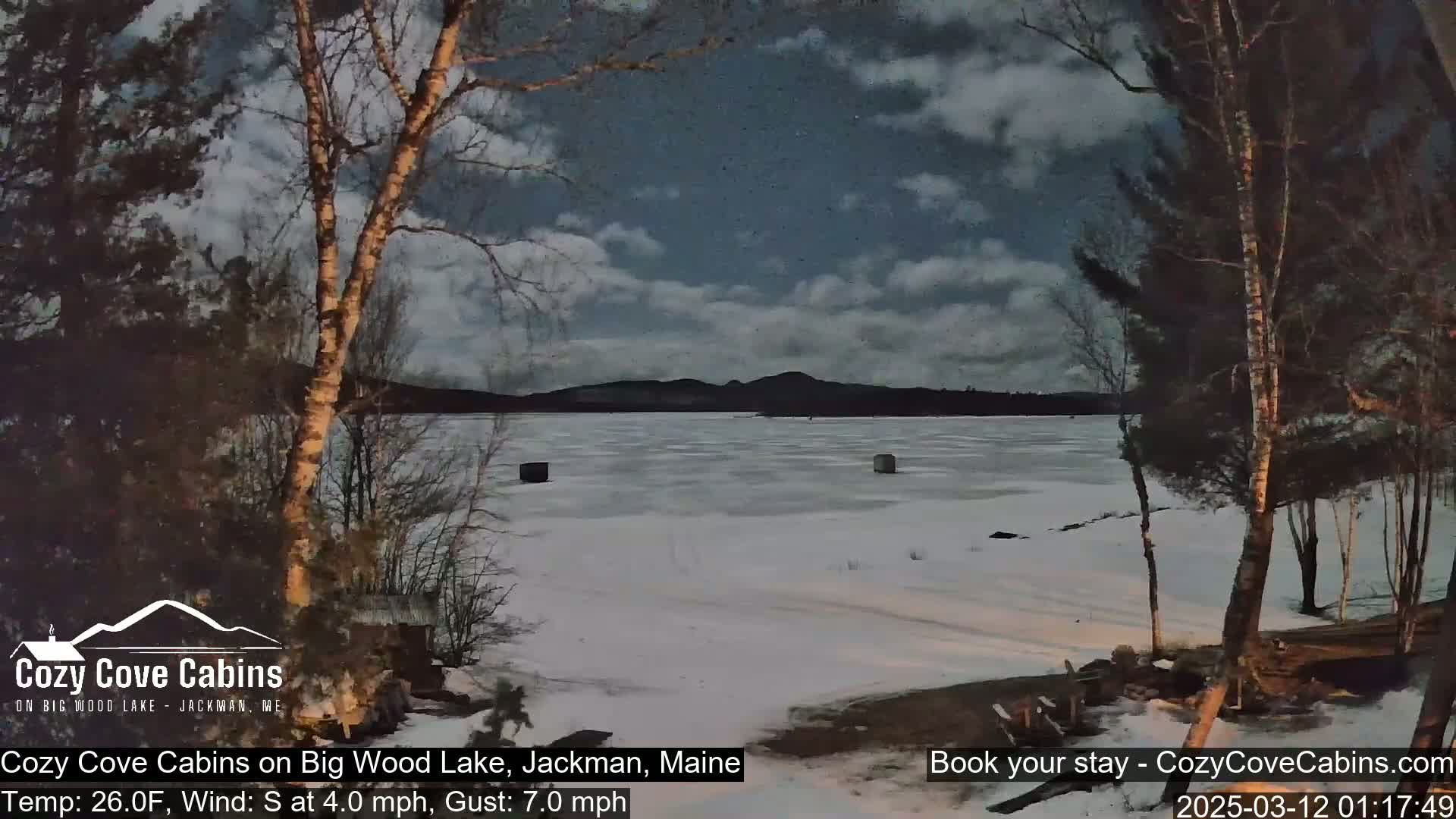A snow-covered frozen lake is seen under a partly cloudy night sky, framed by birch trees.