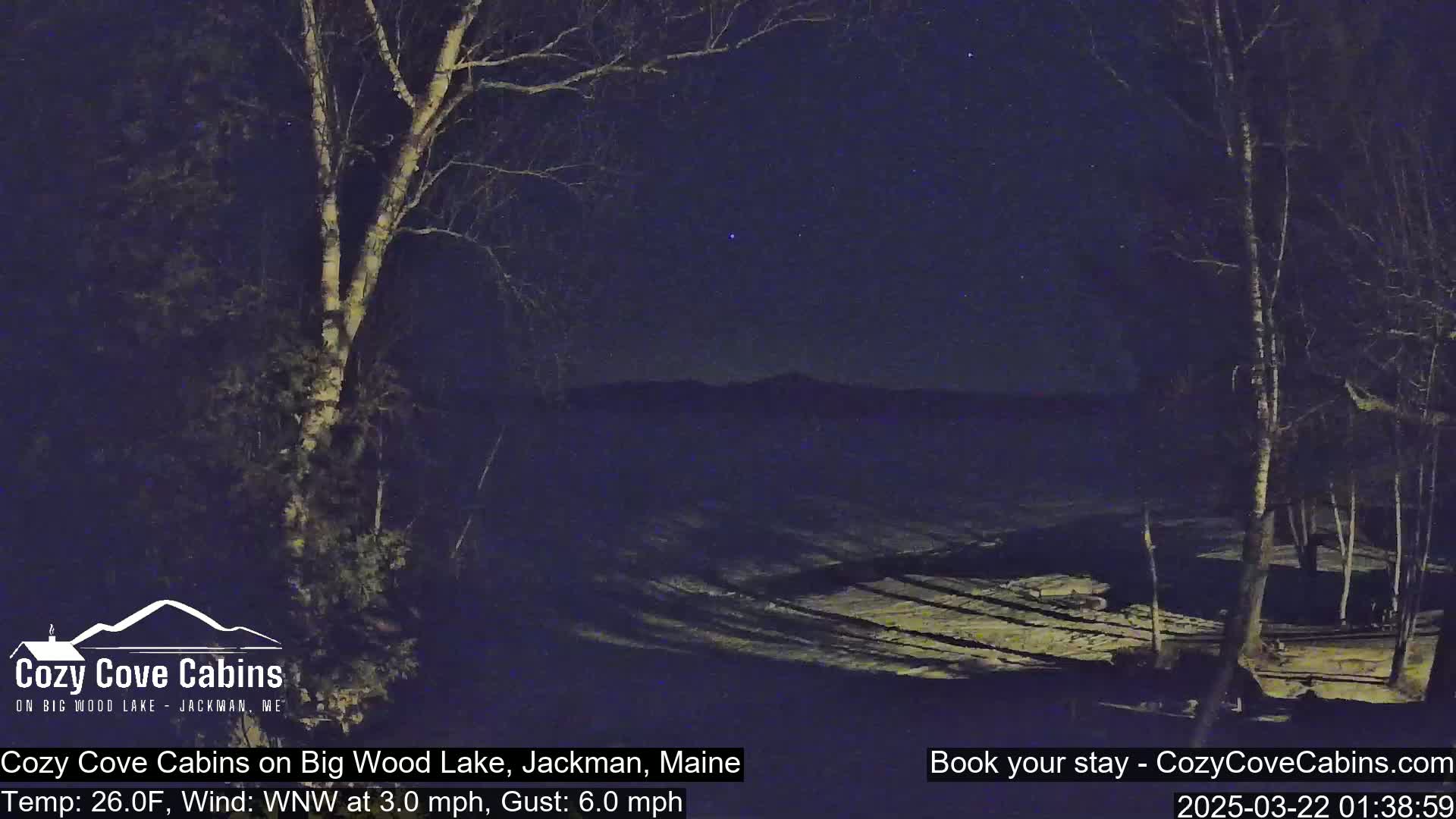 A nighttime view of a snow-covered landscape with a few bare trees under a starry sky, a light wind blowing.
