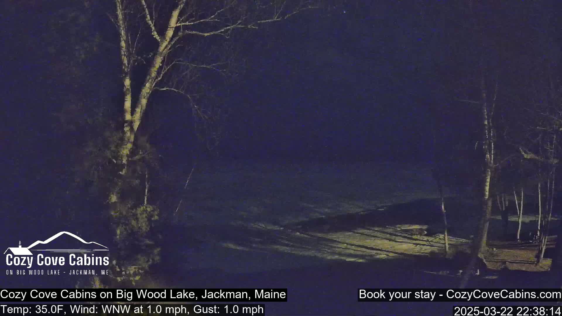 A nighttime view of snow-covered ground and bare trees under a dark sky with a light wind.