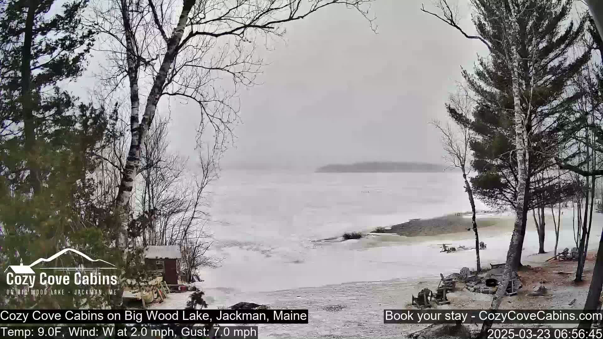 A snowy scene shows a partially frozen lake with waves breaking against a snow-covered shore, viewed from a lakeside location with leafless trees.