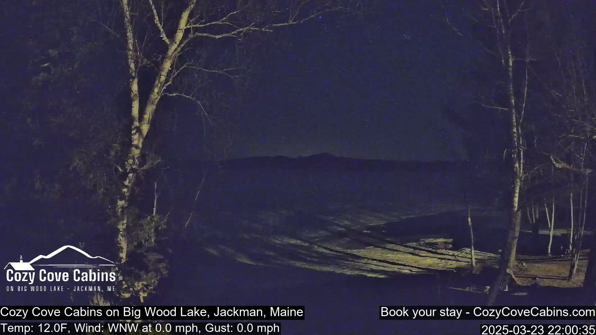 A nighttime, snowy landscape is visible under a starry sky, with bare trees casting long shadows.