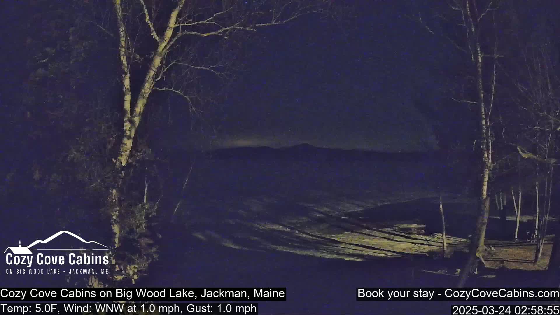 A nighttime view of snow-covered ground and leafless trees under a dark sky, with a faint light on the horizon.