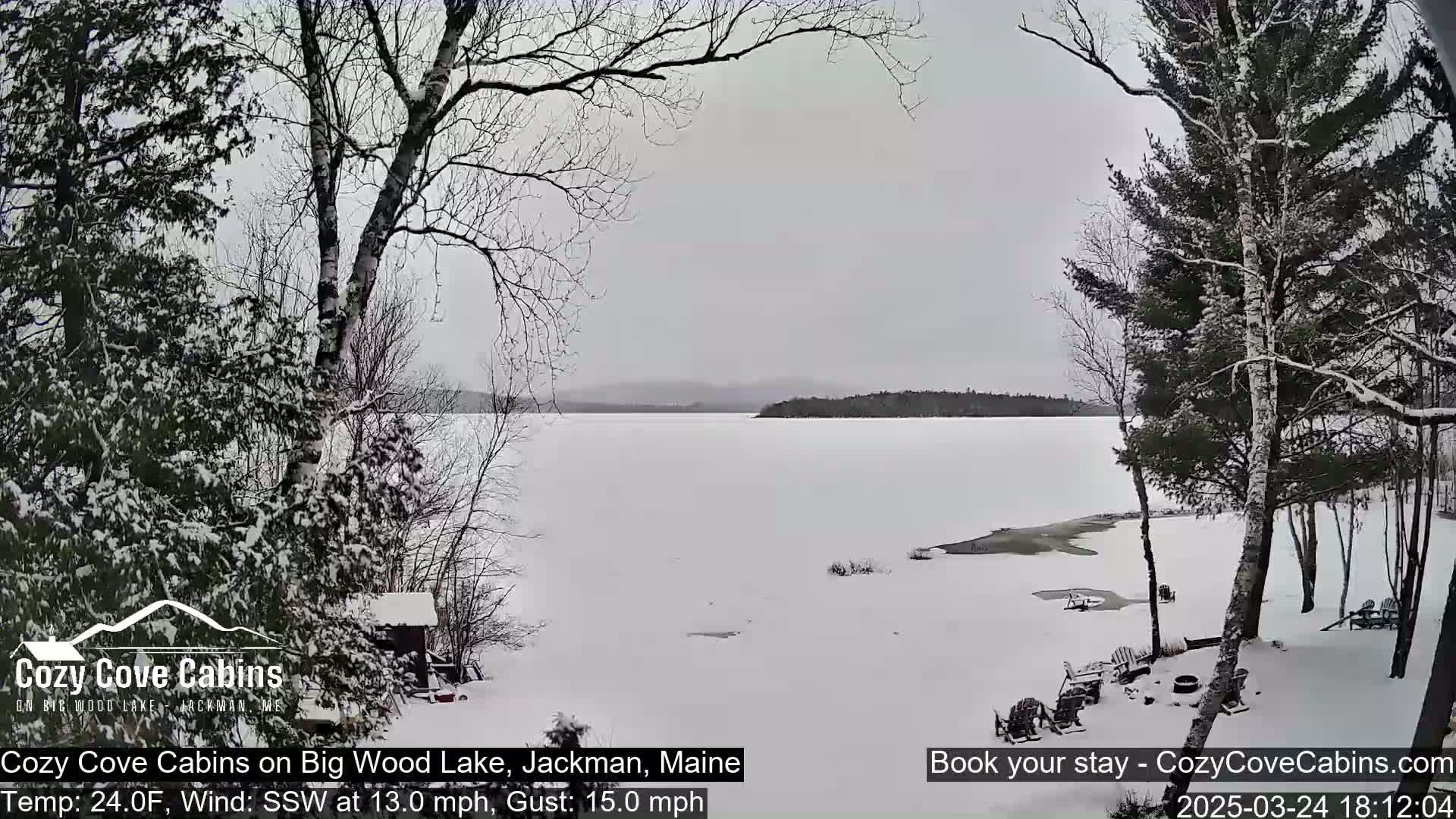 A snow-covered frozen lake is viewed from a snow-covered shoreline with bare trees, under an overcast sky.