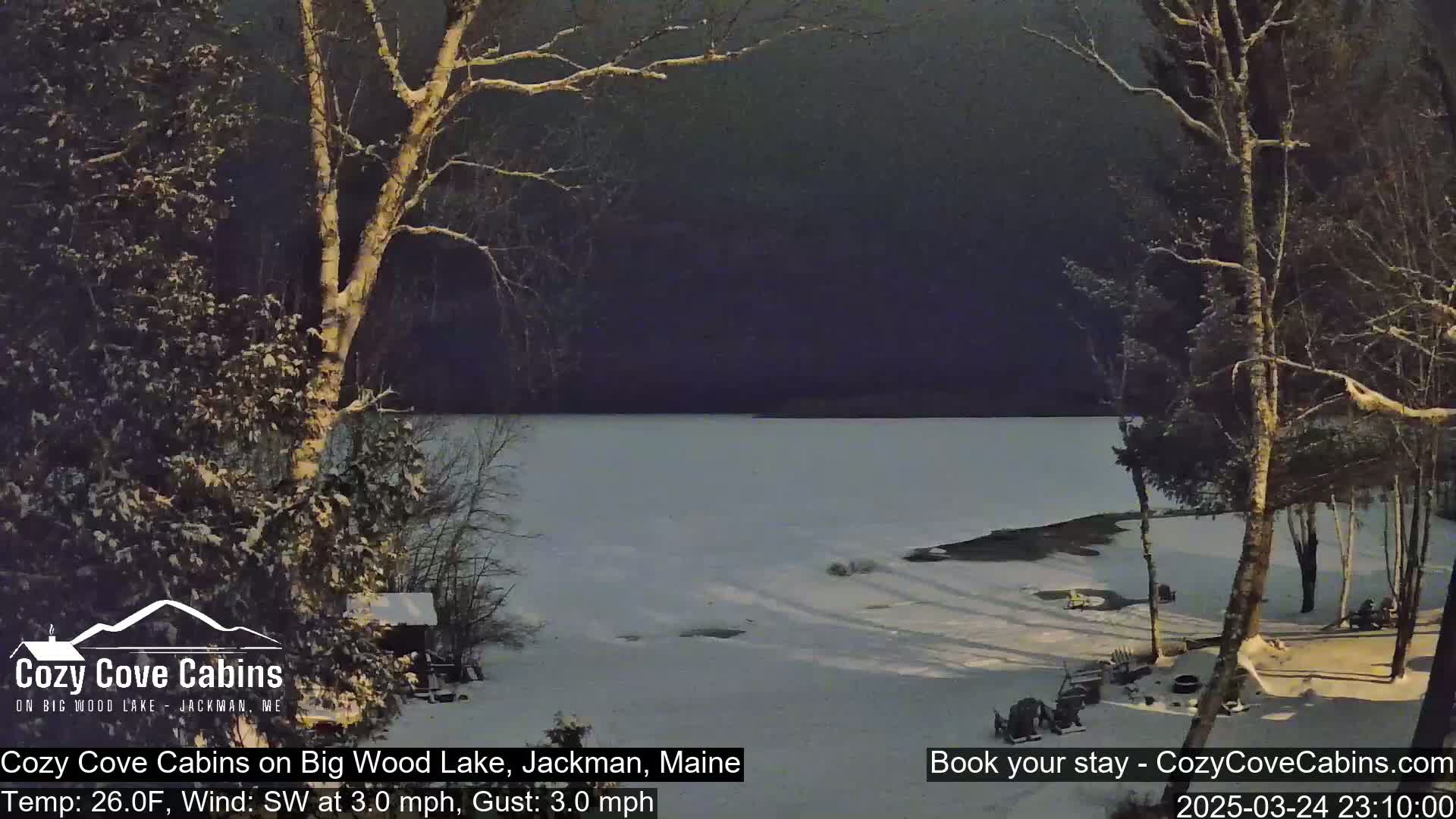 A snow-covered lakeshore with leafless trees under a dark, overcast sky.