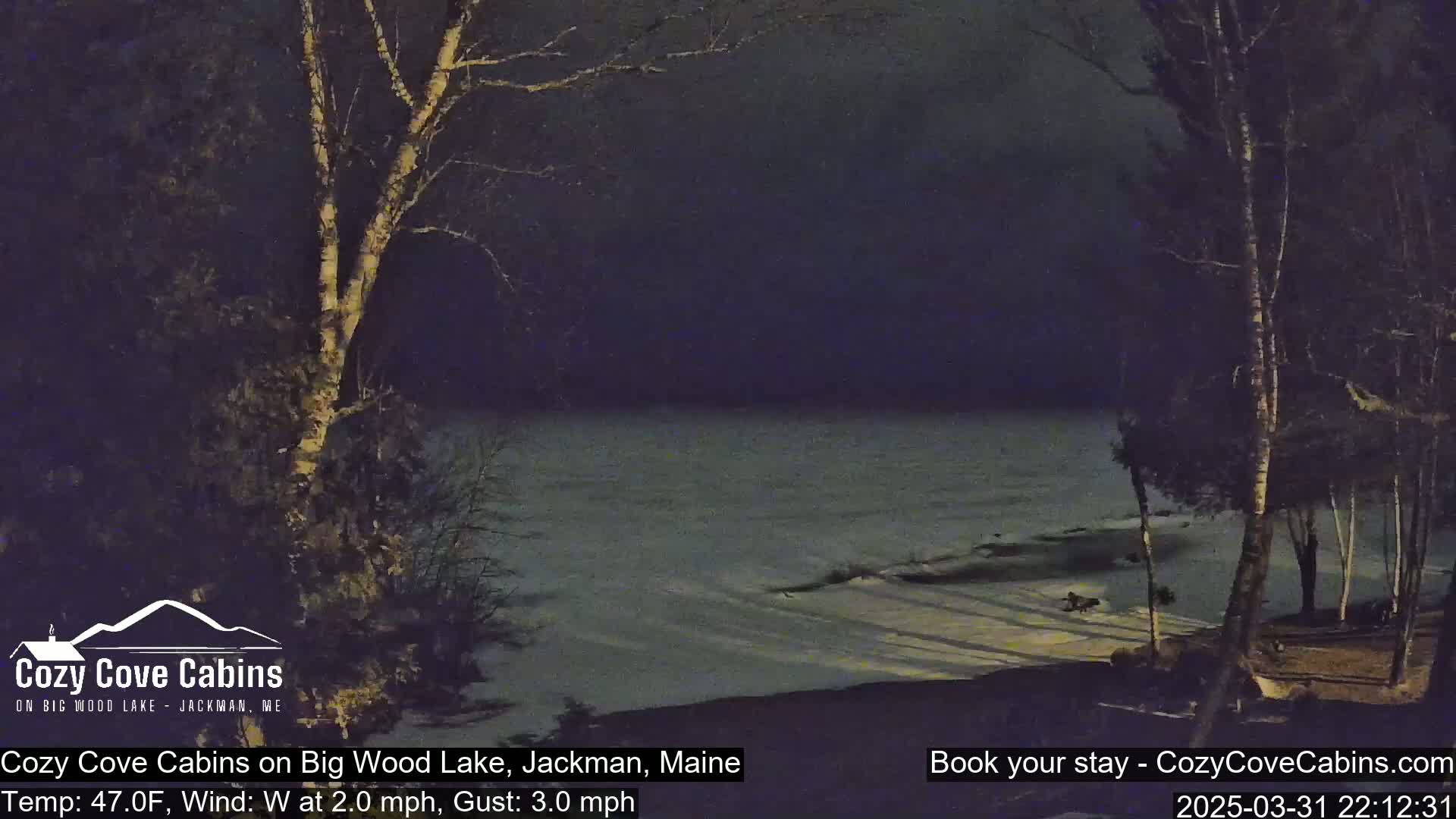 A nighttime view of a partially frozen lake, with trees silhouetted against a dark sky, under a calm, cool, and clear sky.