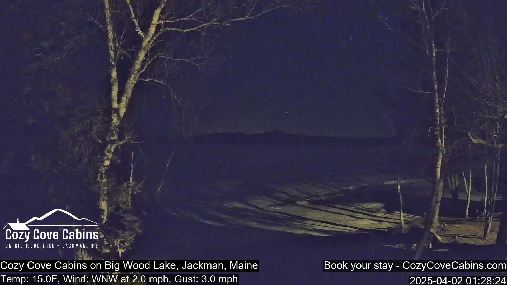 A nighttime view of a snow-covered lake, with bare trees silhouetted against a dark sky under a clear night.