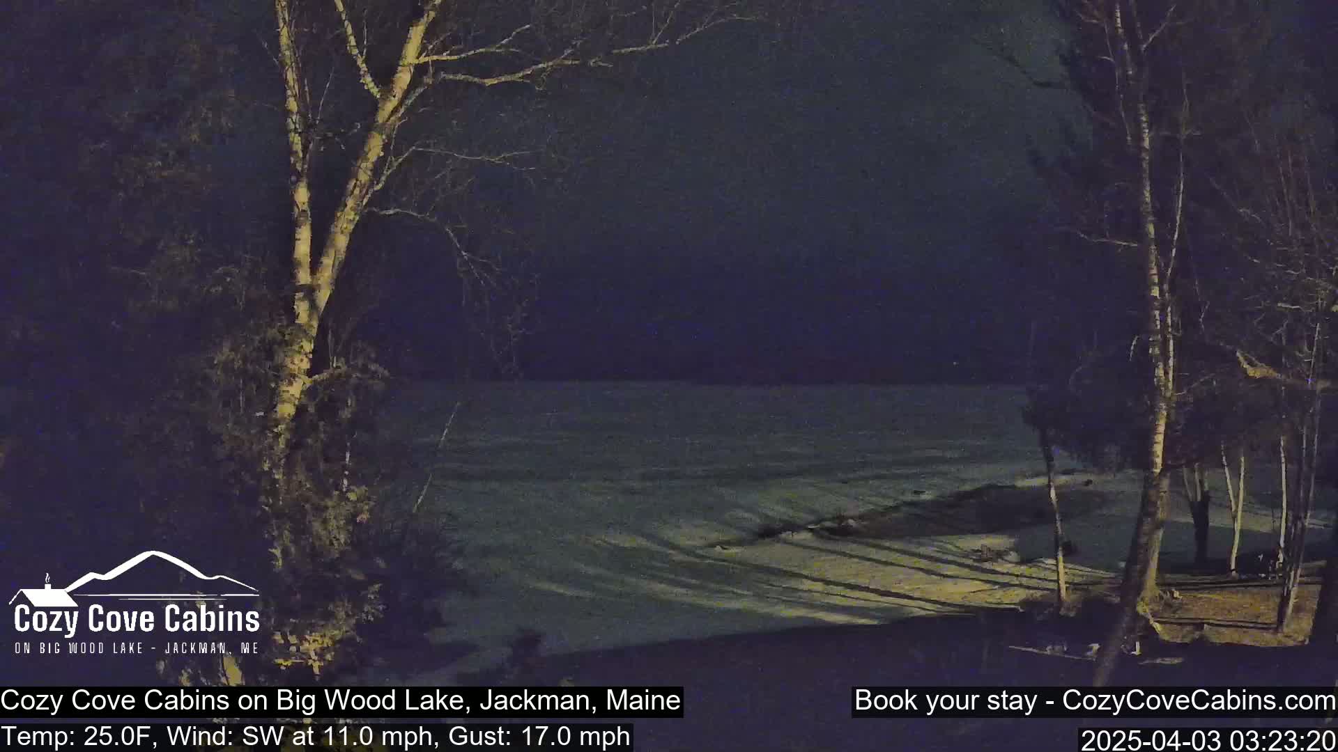 A nighttime view of a snow-covered lake shore, under a dark sky, with bare trees silhouetted against the water and a southwest wind.