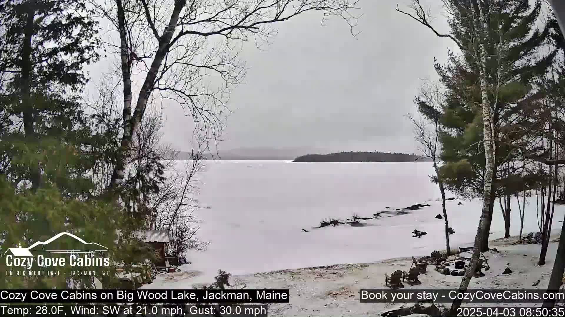 A snow-covered lake is partially frozen, with bare trees lining the shore under a cloudy sky, and a southwest wind blowing at 21 mph with gusts up to 30 mph.