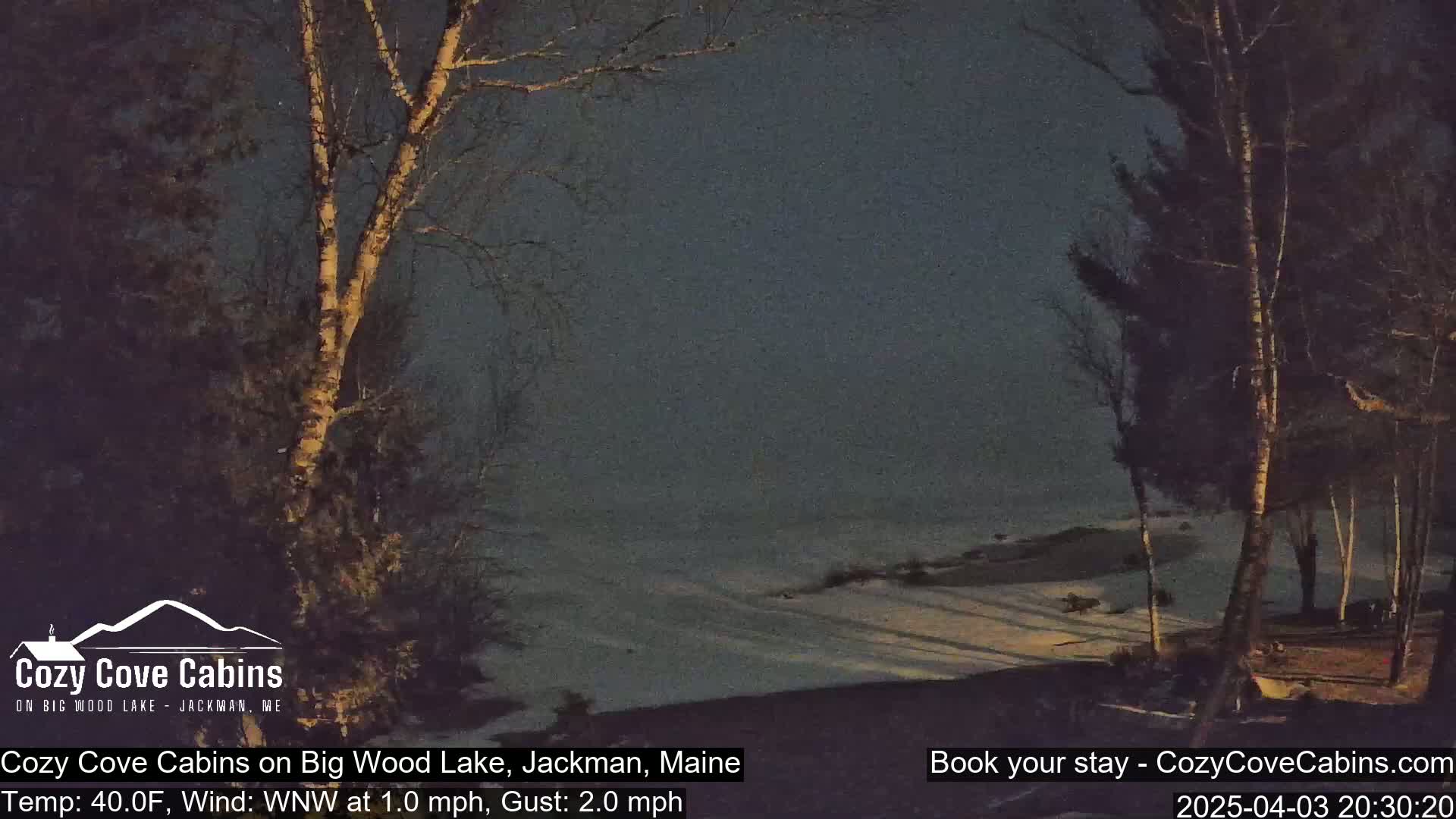A nighttime view of a snow-covered lake shore, with bare trees silhouetted against a dark, overcast sky.
