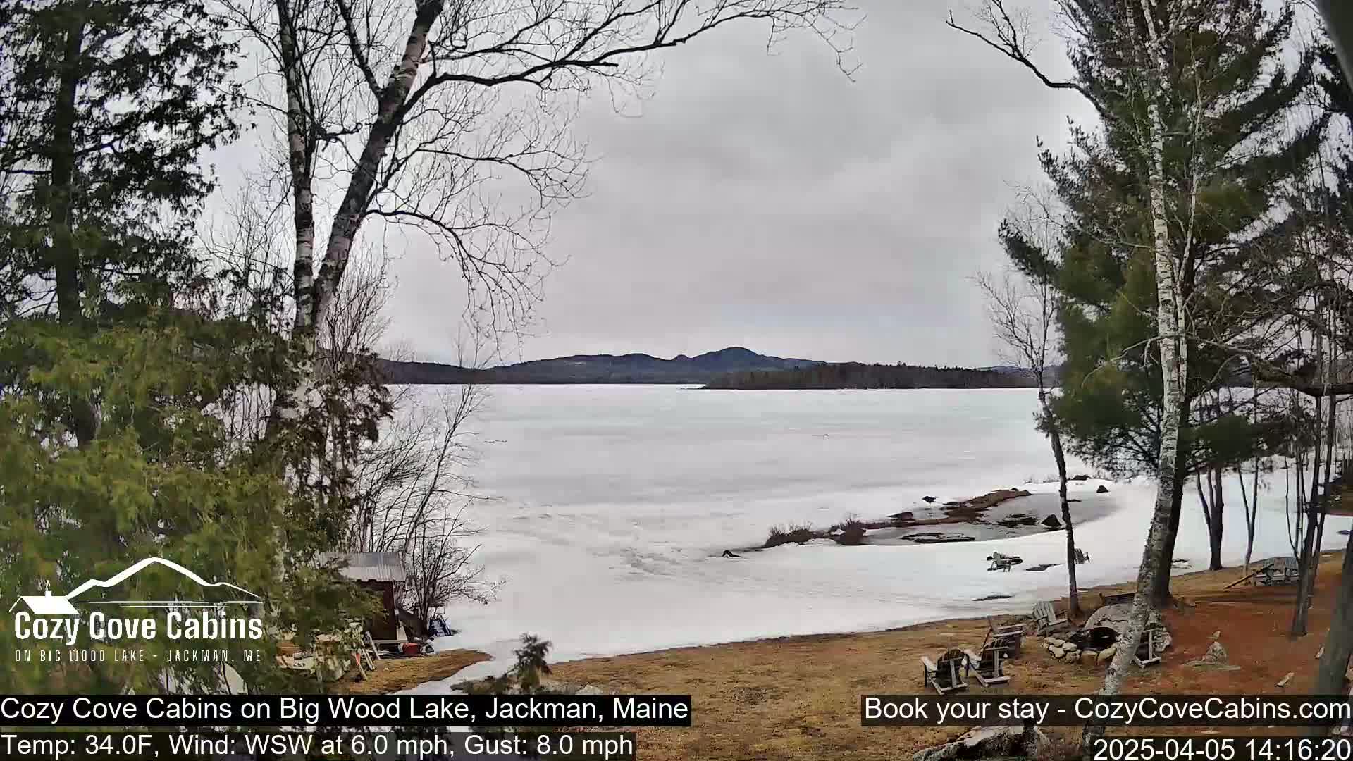 A partially frozen lake is seen from a lakeside property under an overcast sky, with trees and a small cabin visible in the foreground.