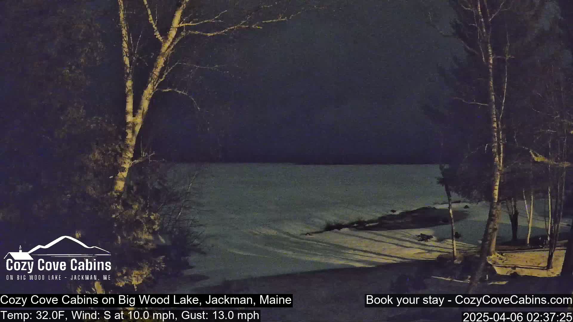 A nighttime view of a snow-covered lake shore, with bare trees silhouetted against a dark sky under a clear night.