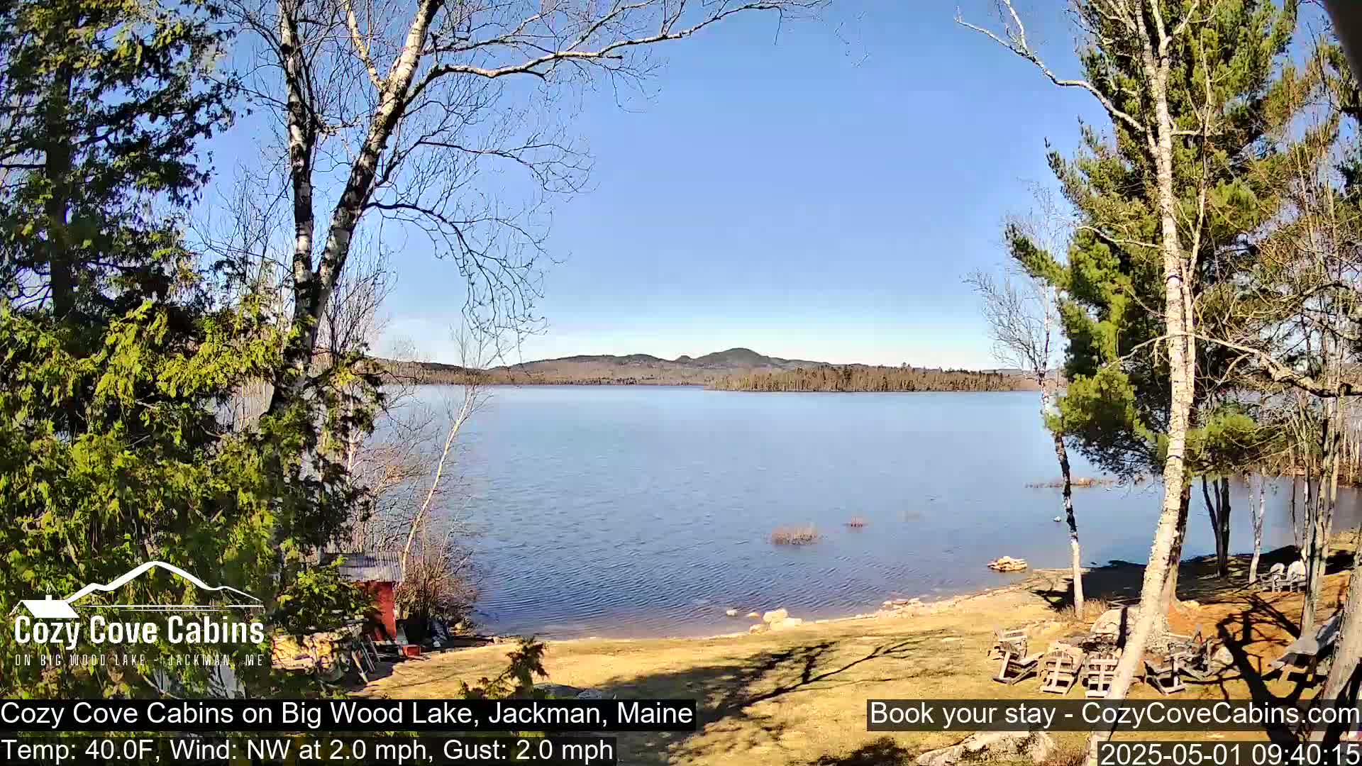 A calm, sunny day on a lake with a sandy shoreline, partially-leafed trees, and distant hills.