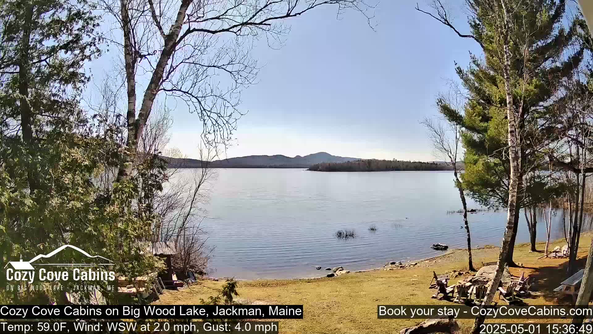 A calm lake with a sandy shore, surrounded by trees under a clear blue sky.