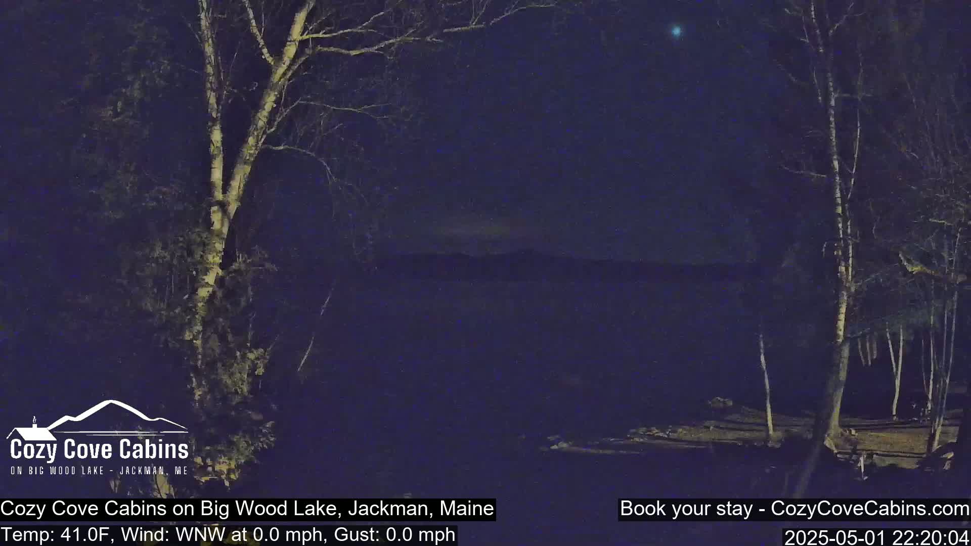 A nighttime view of a calm lake, seen from a wooded shoreline under a clear, dark sky.