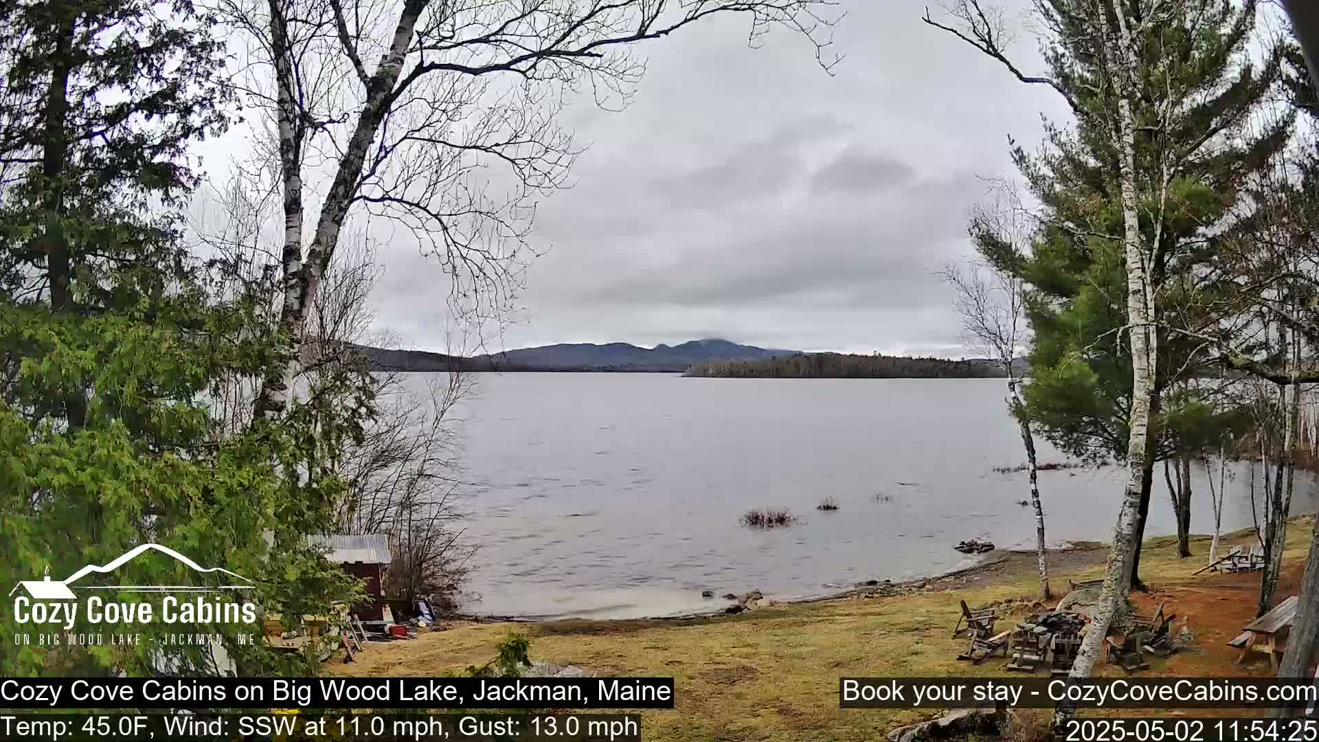 A view of a lake with a shoreline showing some trees, grass, and a small structure under an overcast sky with a wind blowing from the southwest.