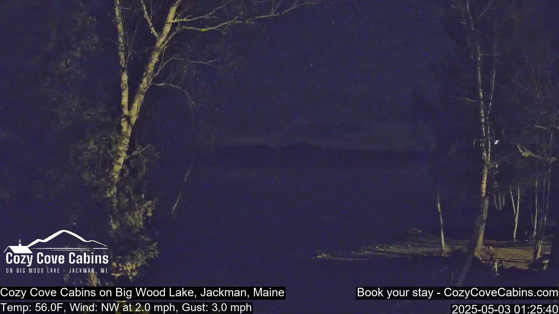 A nighttime view of a lake shore, showing bare trees under a dark sky with a northwest wind.