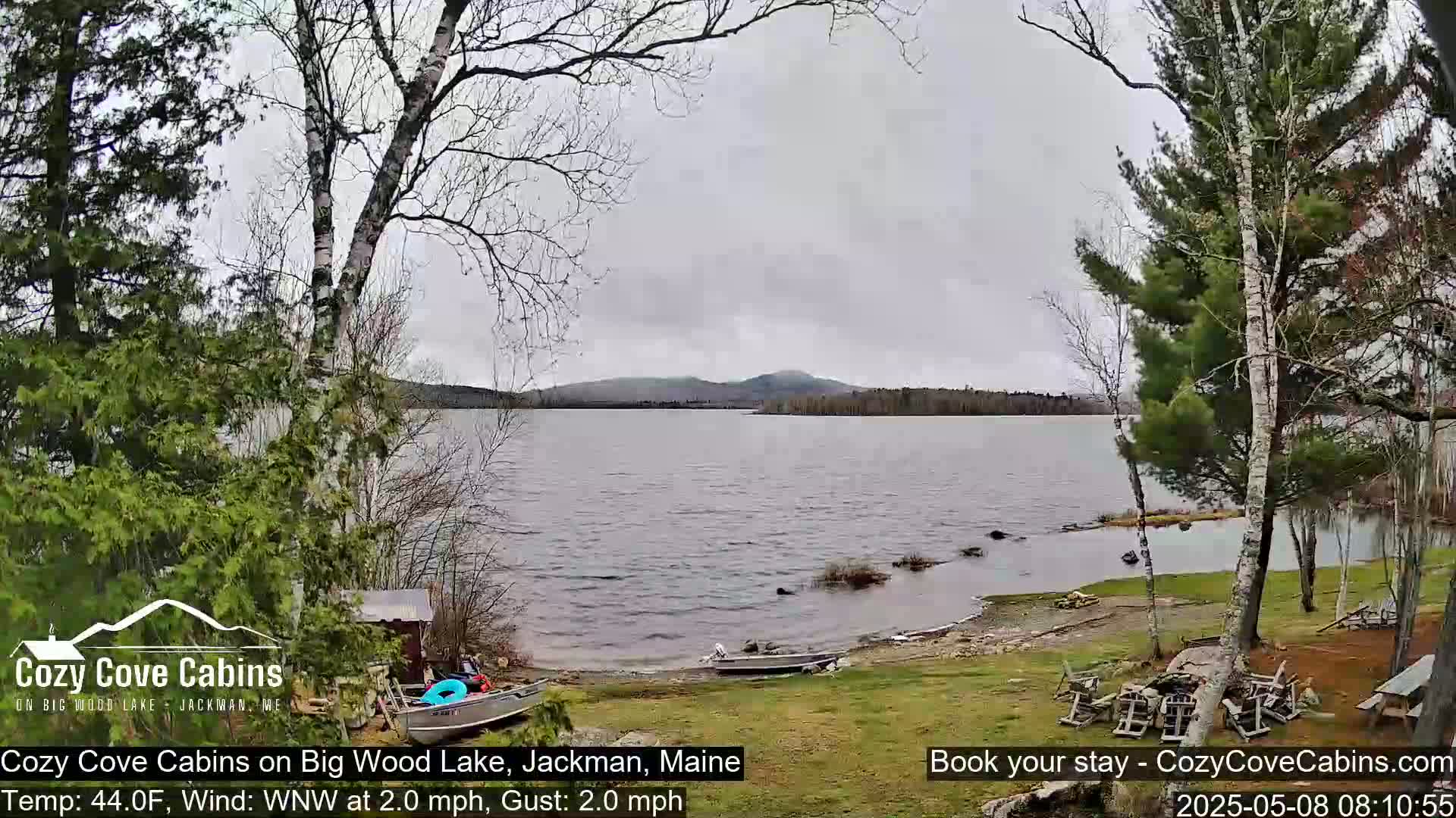A calm lake under an overcast sky is seen from a lakeside grassy area with several boats and trees.