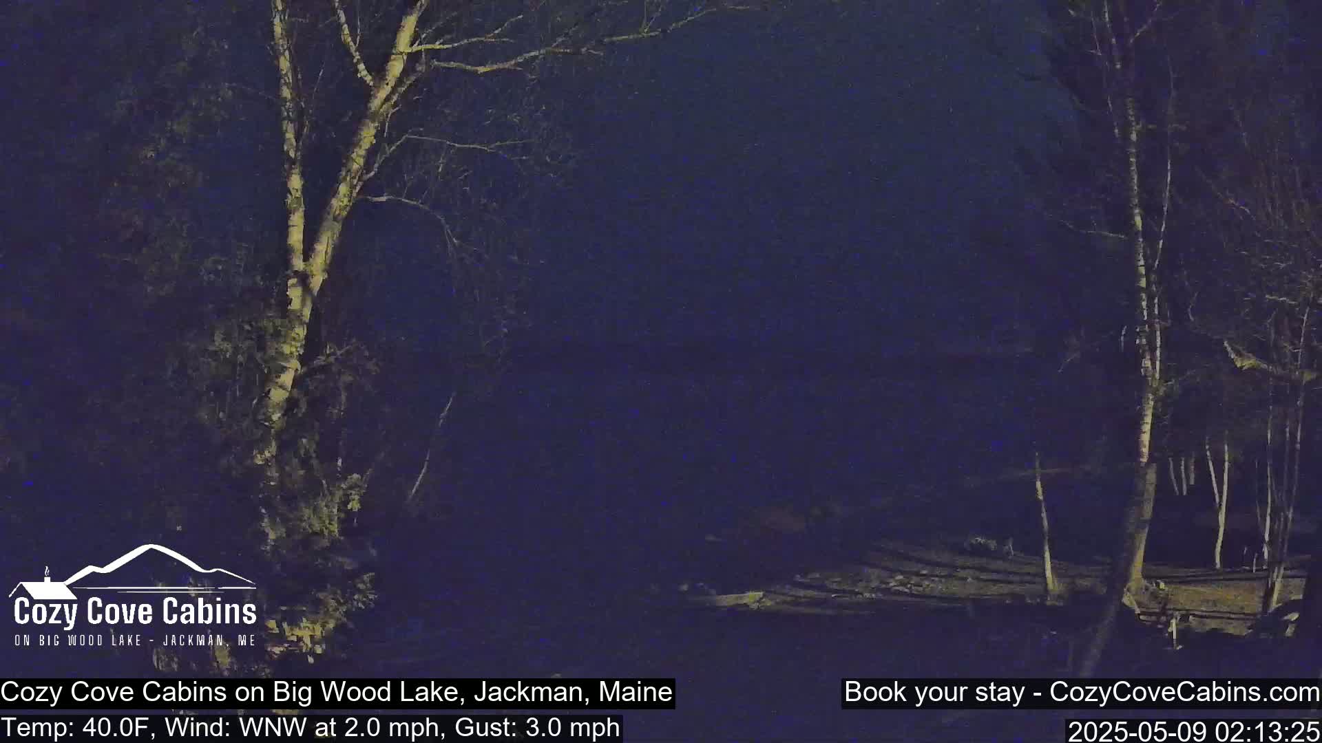 A nighttime view of a lake shore, with bare trees silhouetted against a dark sky, under a 40°F temperature and a gentle west-northwest wind.