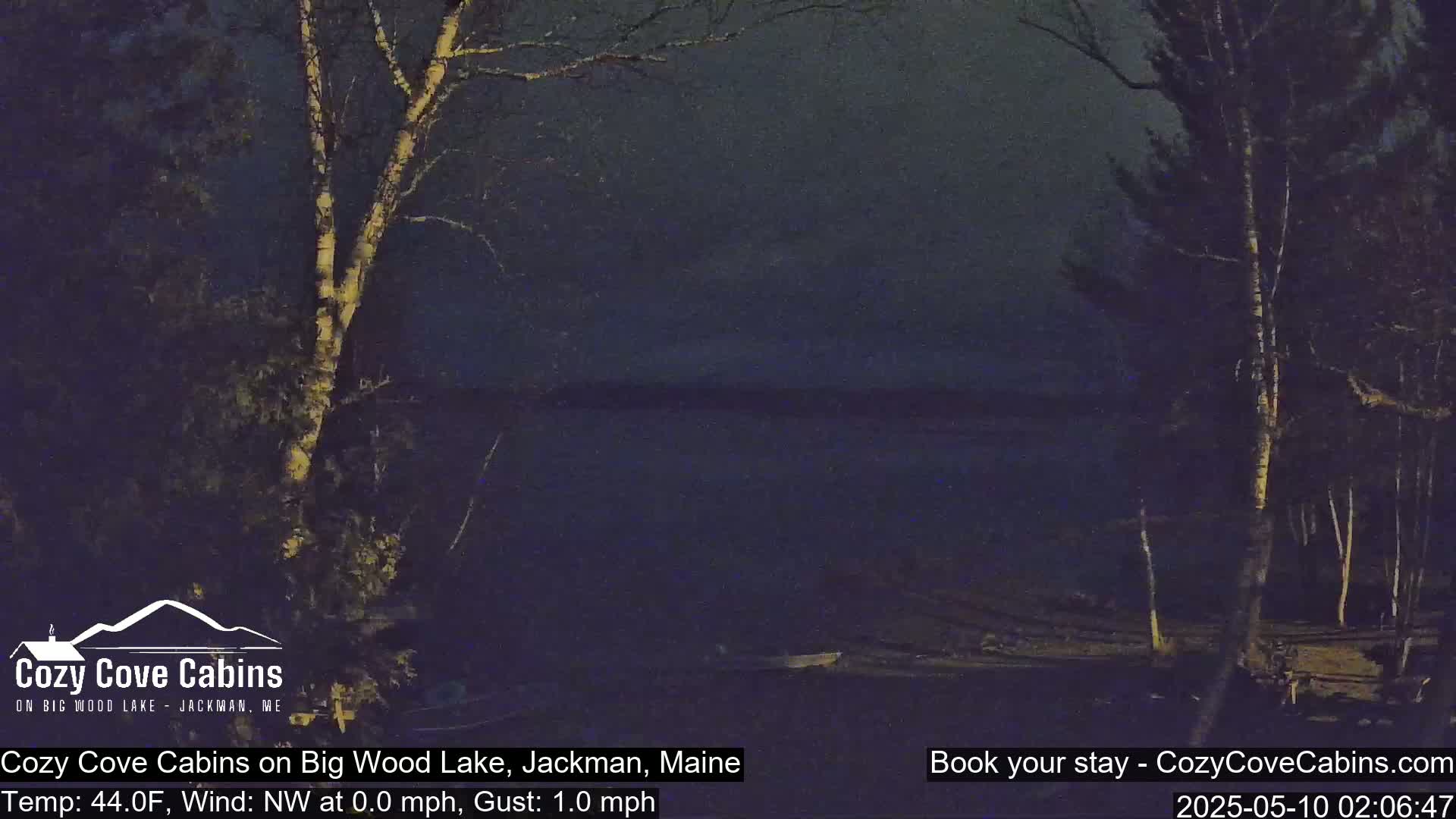 A nighttime view of a calm lake under a dark sky, with trees silhouetted along the shoreline.