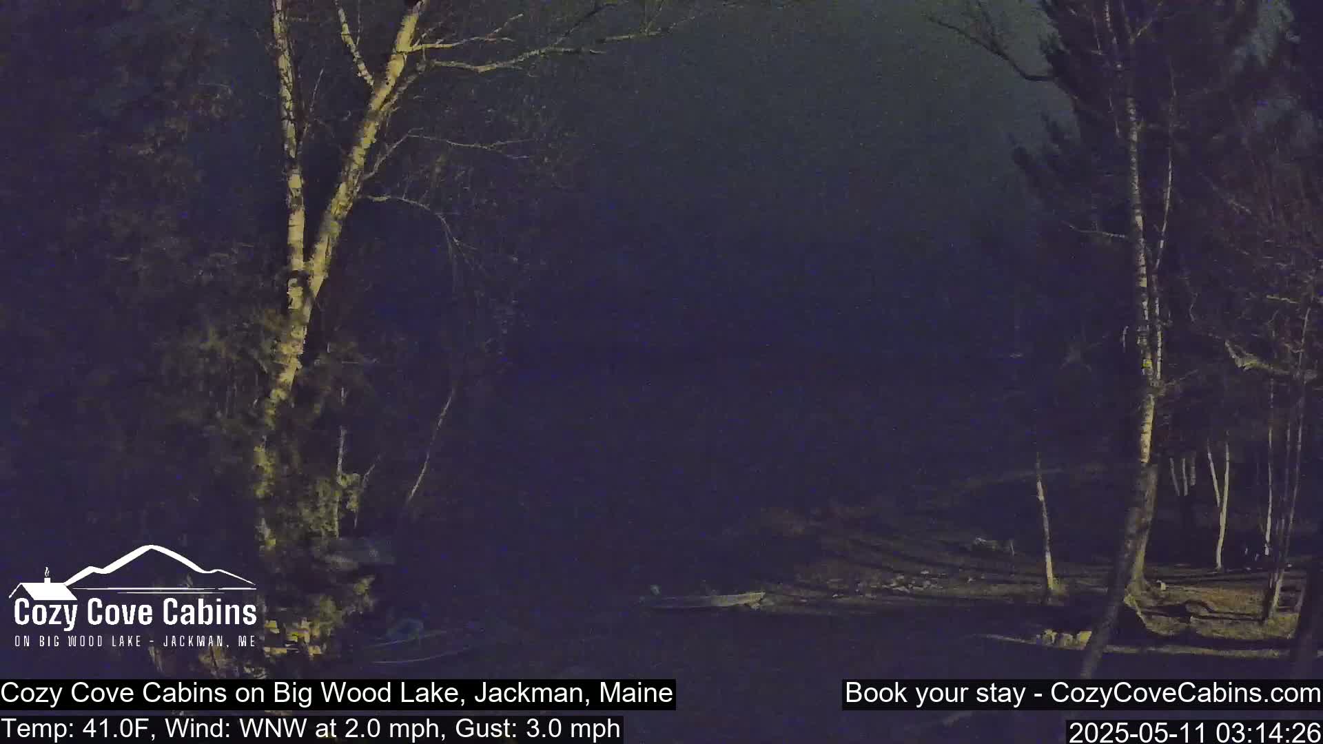 A nighttime, dimly lit lakeside scene shows bare trees and a dark, still body of water under a dark sky with a slight wind.