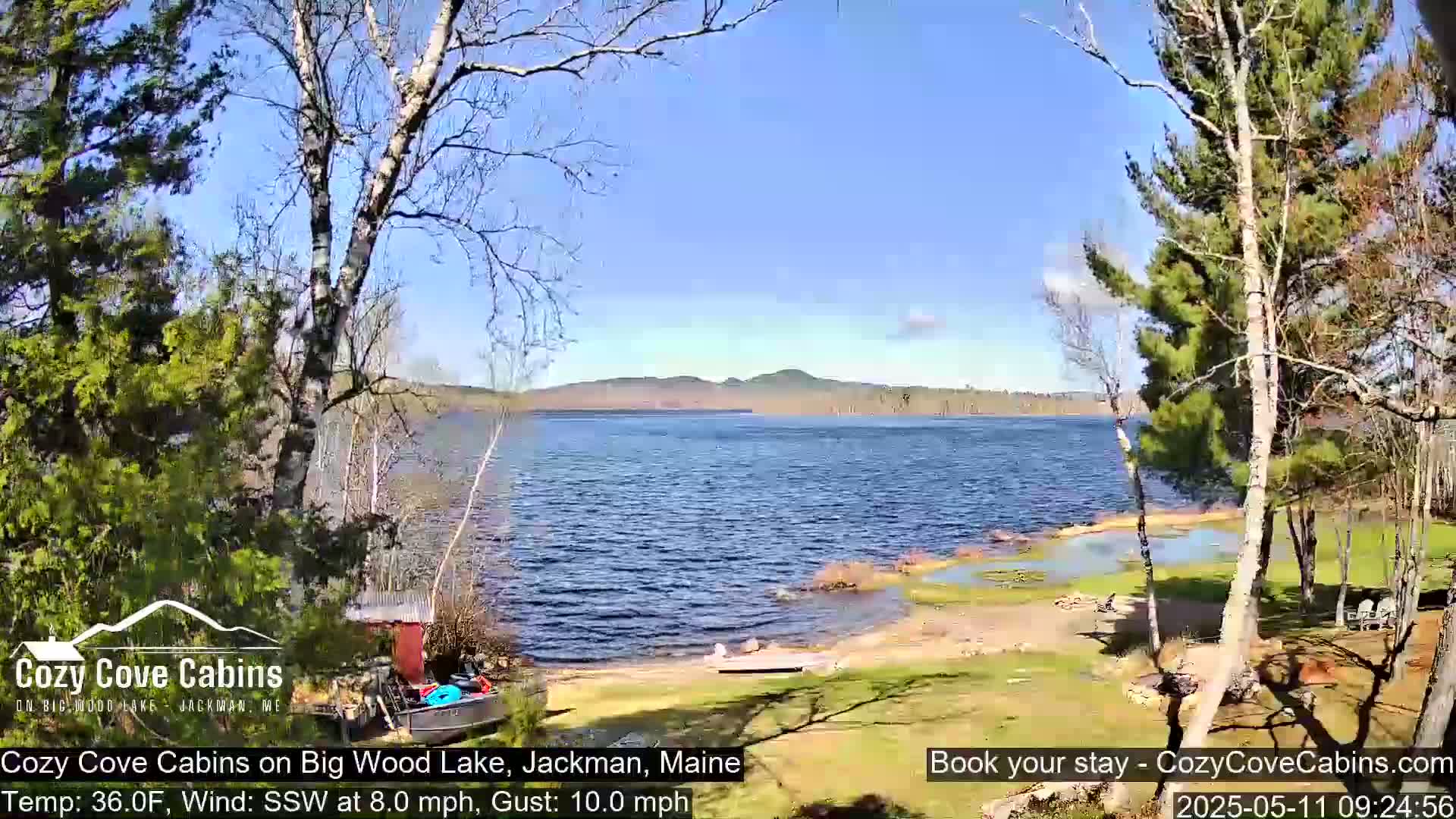 A calm lake under a bright blue sky is partially visible from a lakeside property with trees and a small boat on the shore, with a light wind blowing.