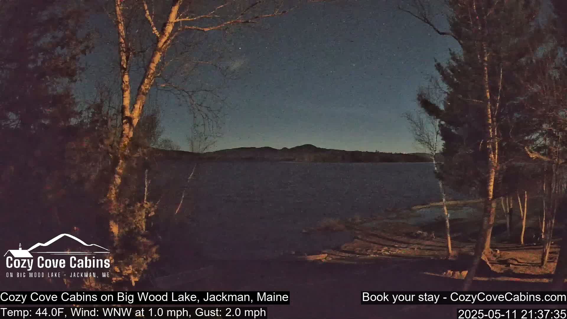 A tranquil, dark lake is seen under a starry night sky, with trees lining the shoreline and a calm, gentle wind.