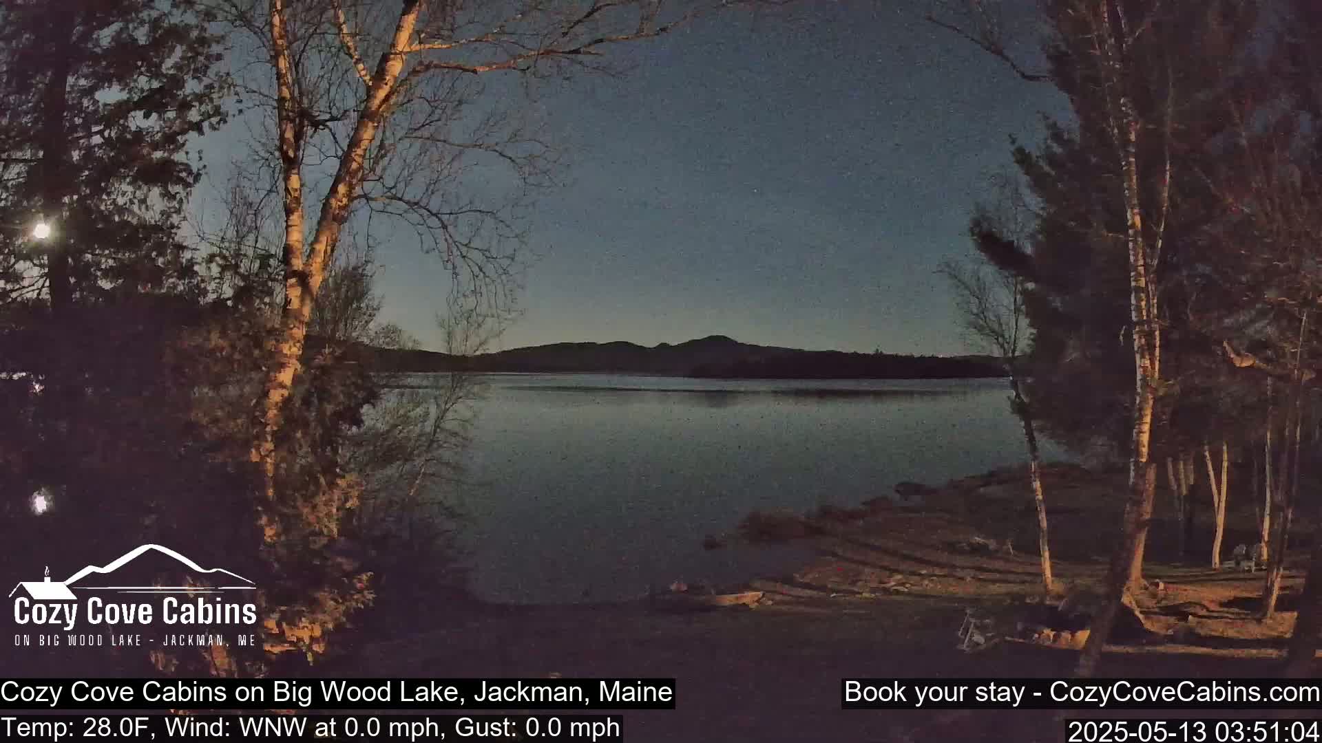 A moonlit view of a calm lake at night, framed by trees under a clear, dark sky.