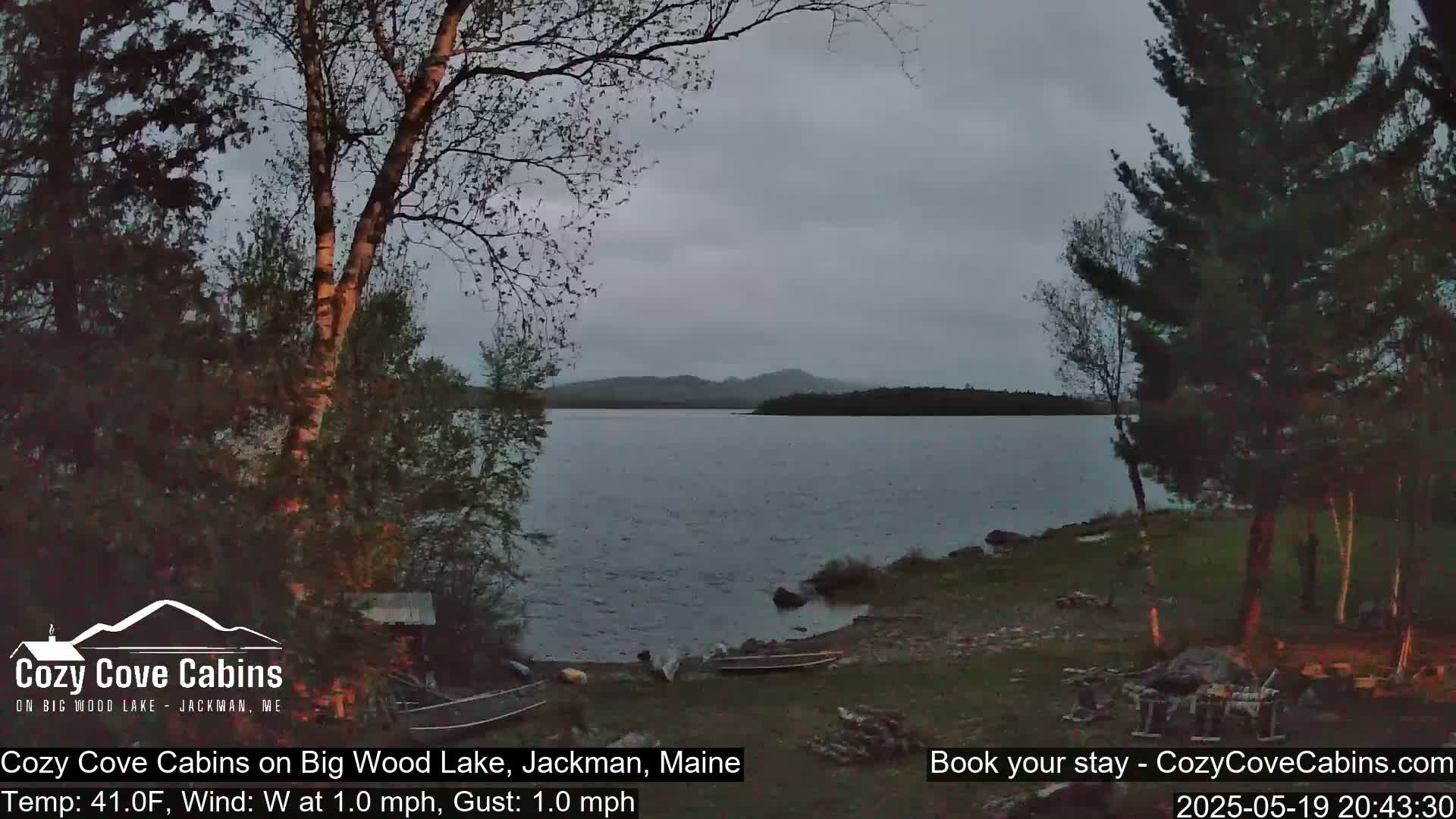 A calm lake under an overcast sky is partially visible through trees on a shoreline with a few boats and some wood piled near the water's edge.