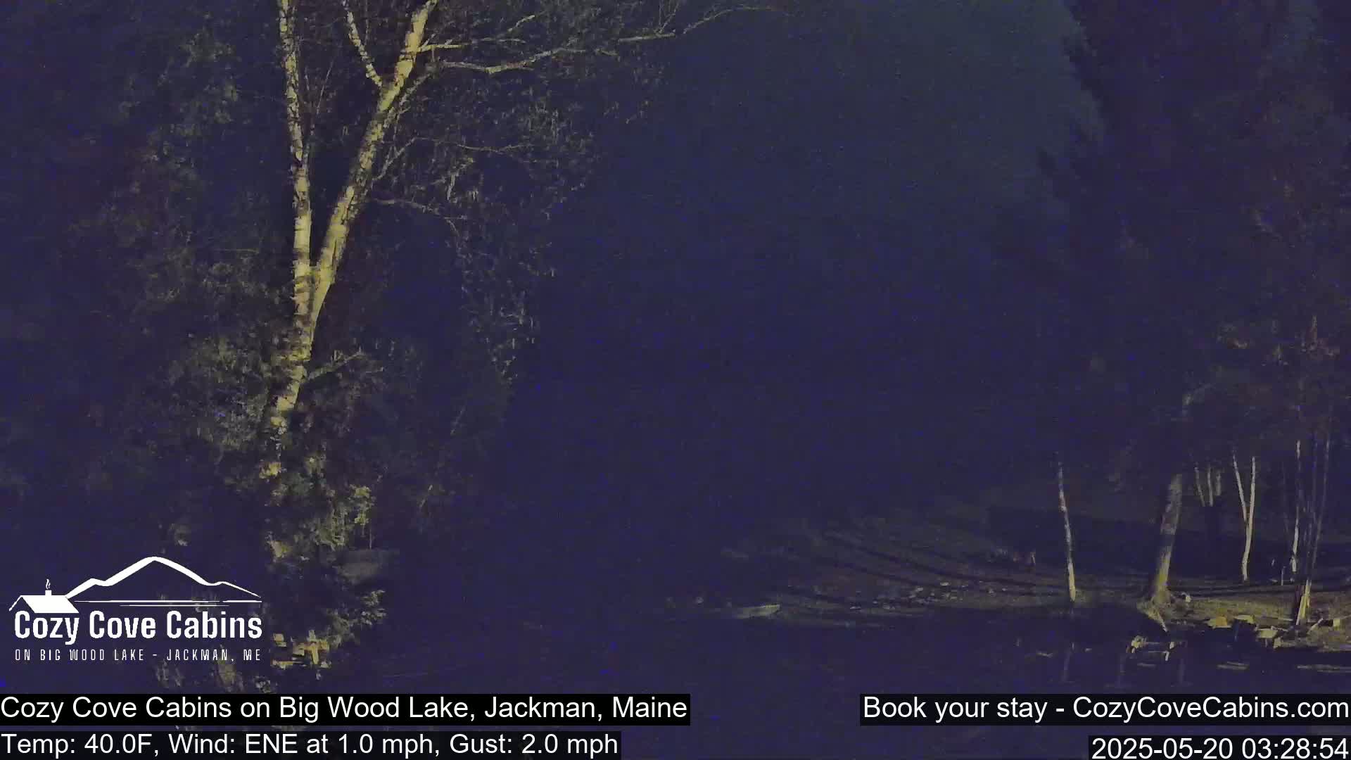 A nighttime view of a lakeshore with trees, under a dark sky with a 40°F temperature, a 1.0 mph east-northeast wind, and 2.0 mph gusts.