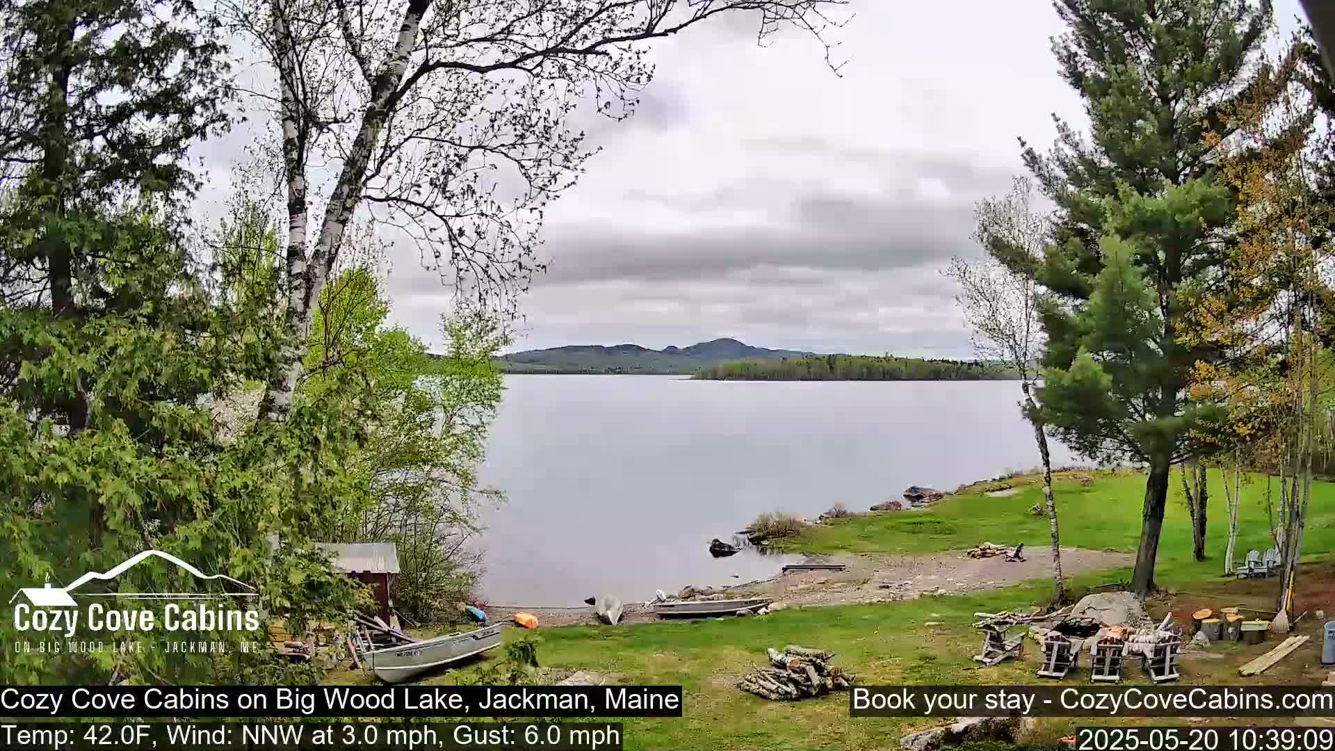 A calm lake with a wooded shore and overcast skies is seen from a lakeside yard with several boats pulled ashore.