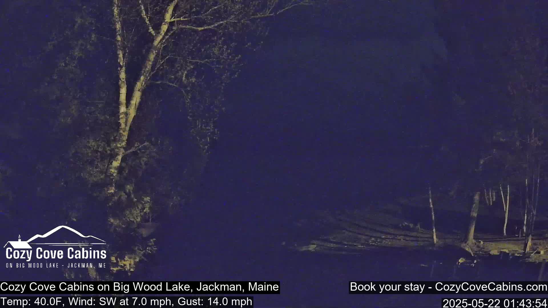 A nighttime view of a lake shore with trees, under a dark sky with a southwest wind.