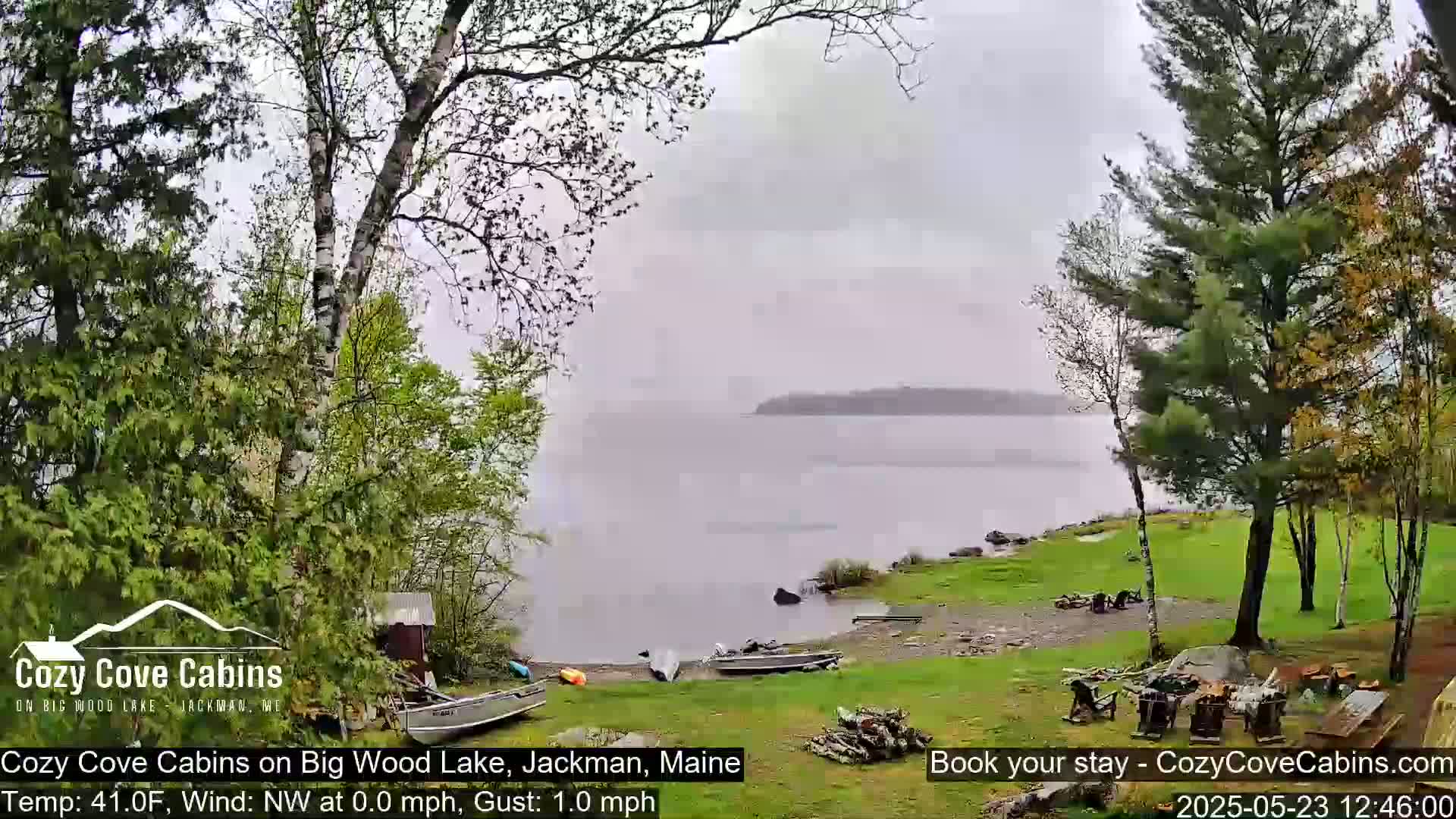A lake view on an overcast day shows several boats pulled ashore near a grassy area with trees, some of which are budding with new leaves.