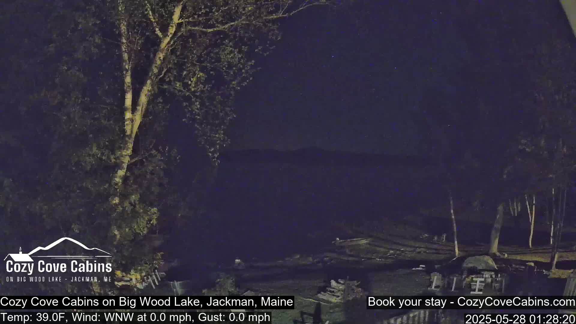 A nighttime view of a lake and trees under a clear, dark sky.