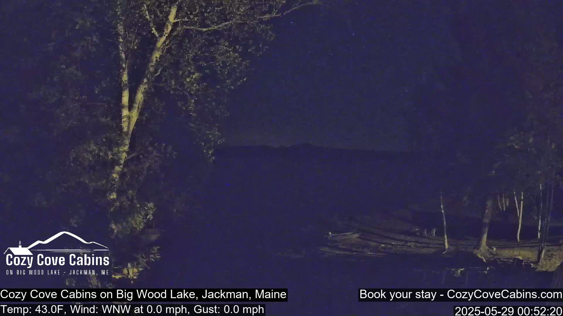 A nighttime, calm view of trees and a lake, under a dark, starry sky.