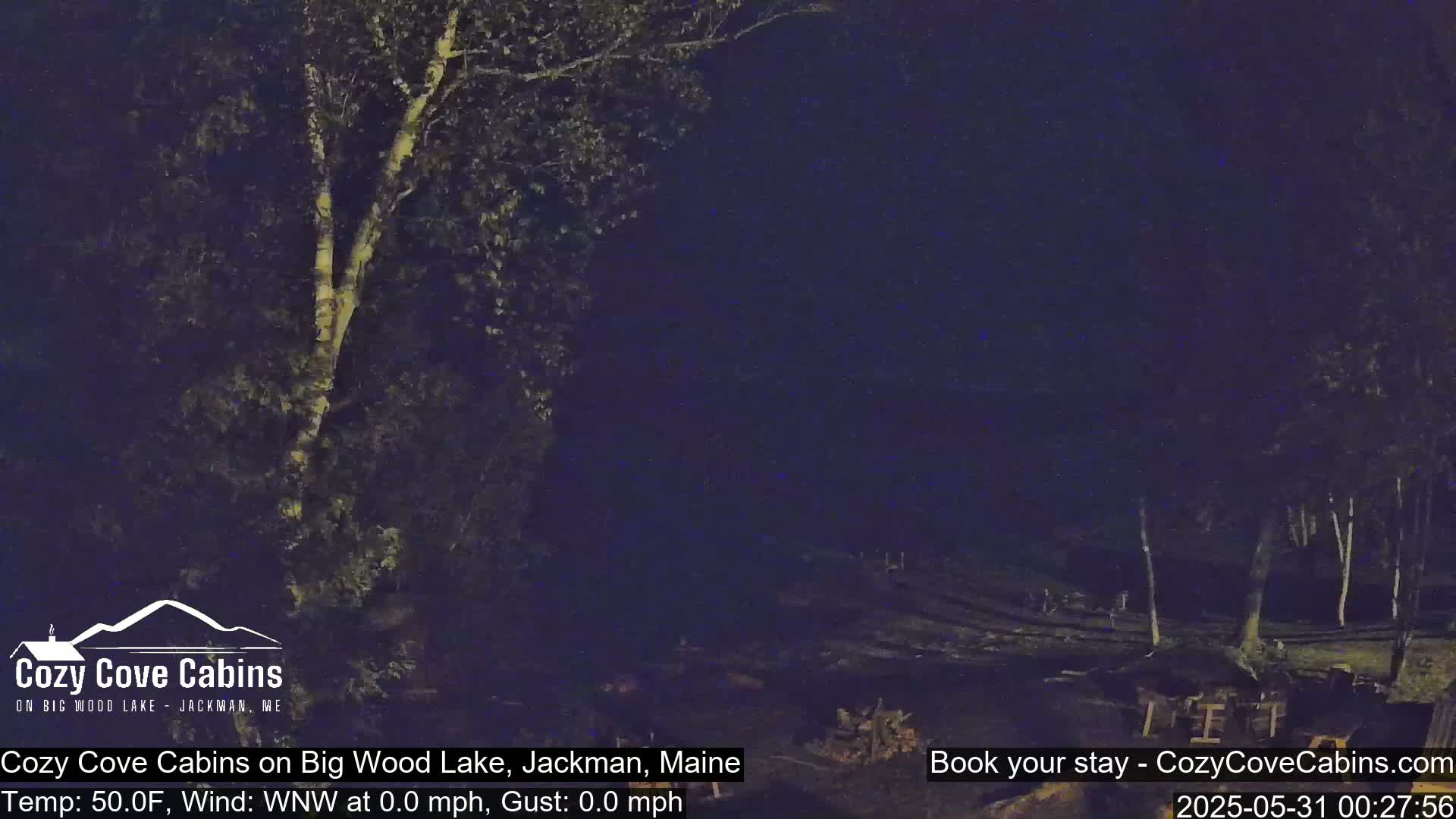 A nighttime, low-light view of trees and a wooded area with calm weather conditions.