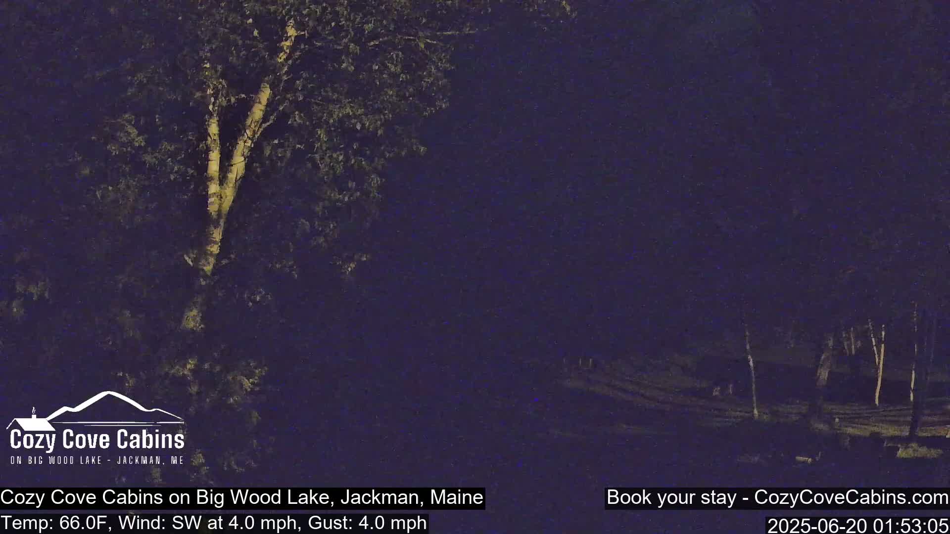 A nighttime scene shows a sparsely lit area of trees and a path under a dark sky with a southwest wind at 4 mph and gusts up to 4 mph.