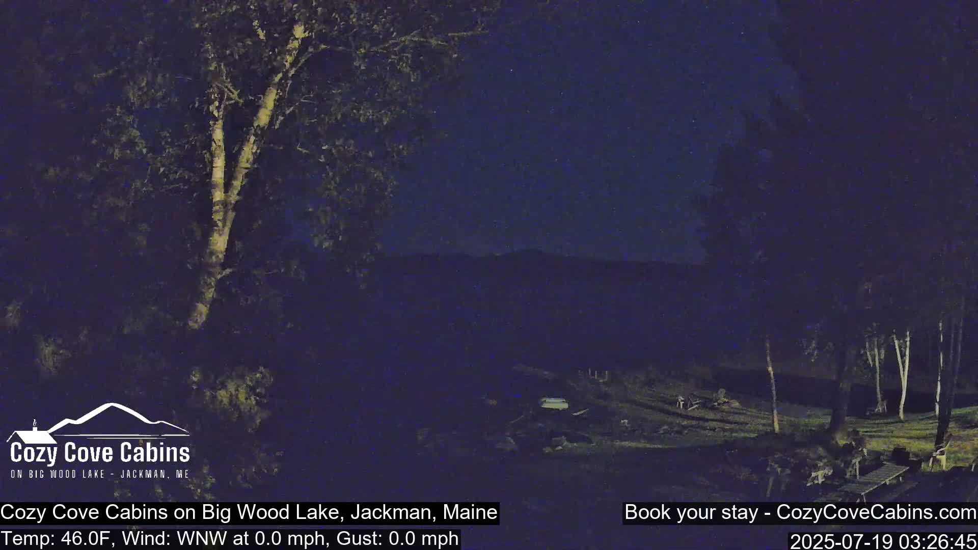 A nighttime view of a lakefront property with trees, under a clear, starry sky, and calm weather conditions.