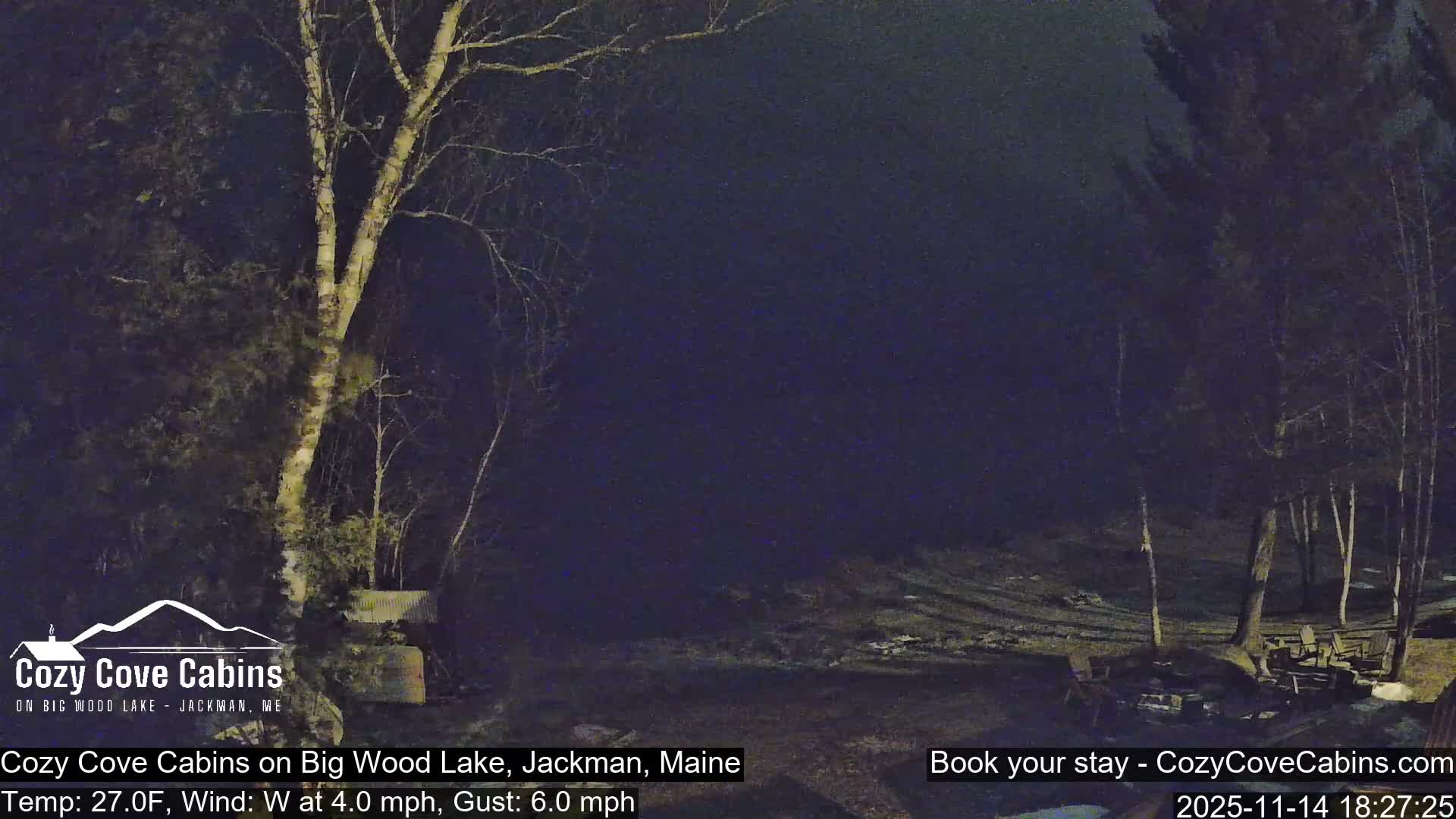 A dark, clear night illuminates a rustic outdoor scene featuring a prominent bare-branched tree on the left, an open ground area, and a gathering of chairs around a fire pit on the right, all surrounded by sparse trees.