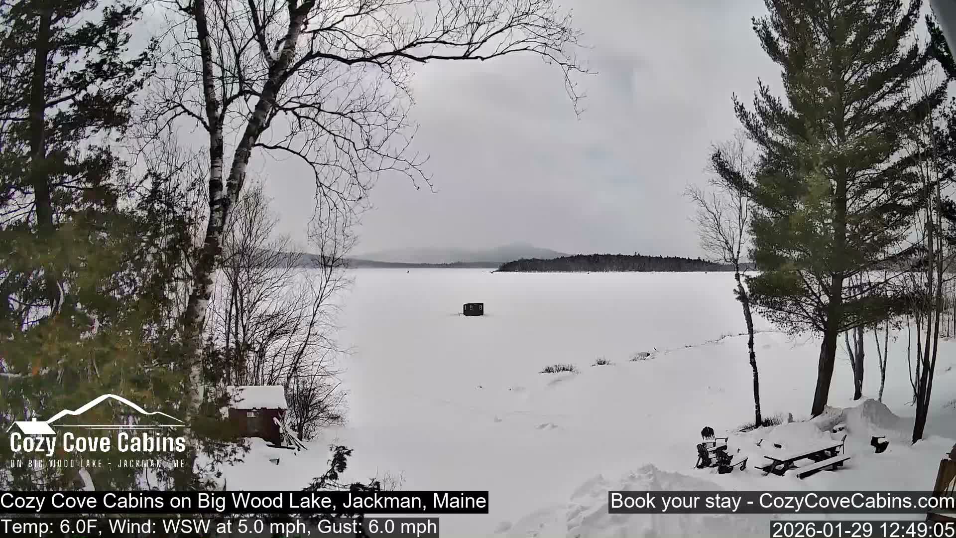 Cozy Cove Cabins, Wood Pond Live Cam - Jackman, Maine,  USA