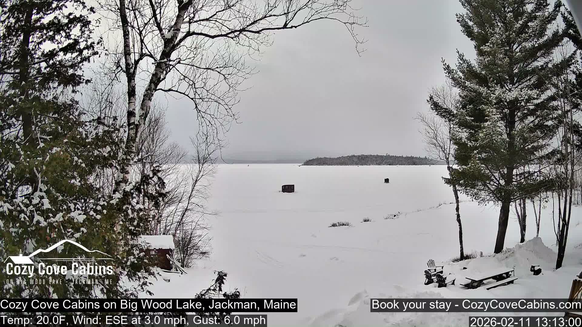 Cozy Cove Cabins, Wood Pond Live Cam - Jackman, Maine,  USA