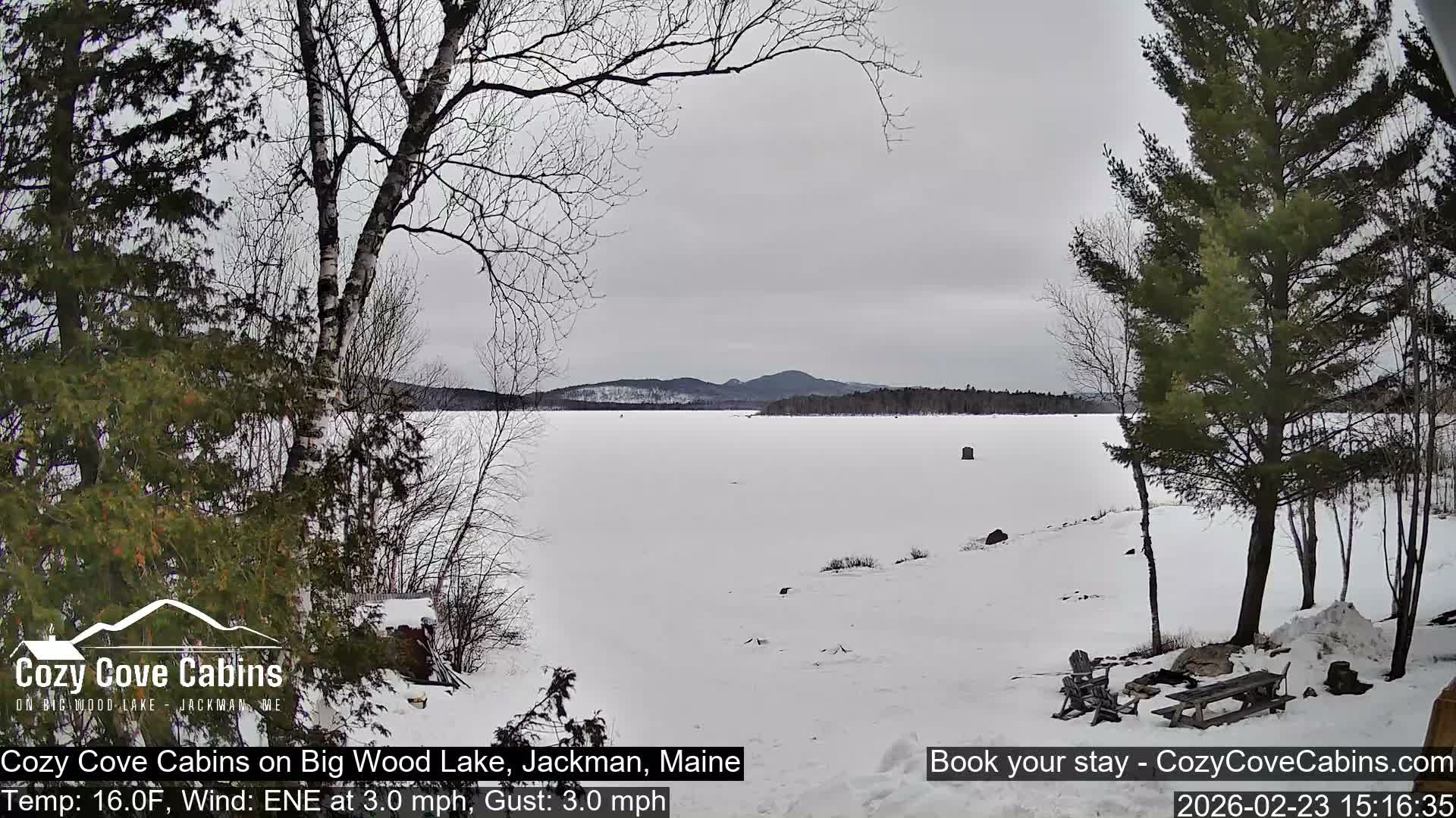 Cozy Cove Cabins, Wood Pond Live Cam - Jackman, Maine,  USA