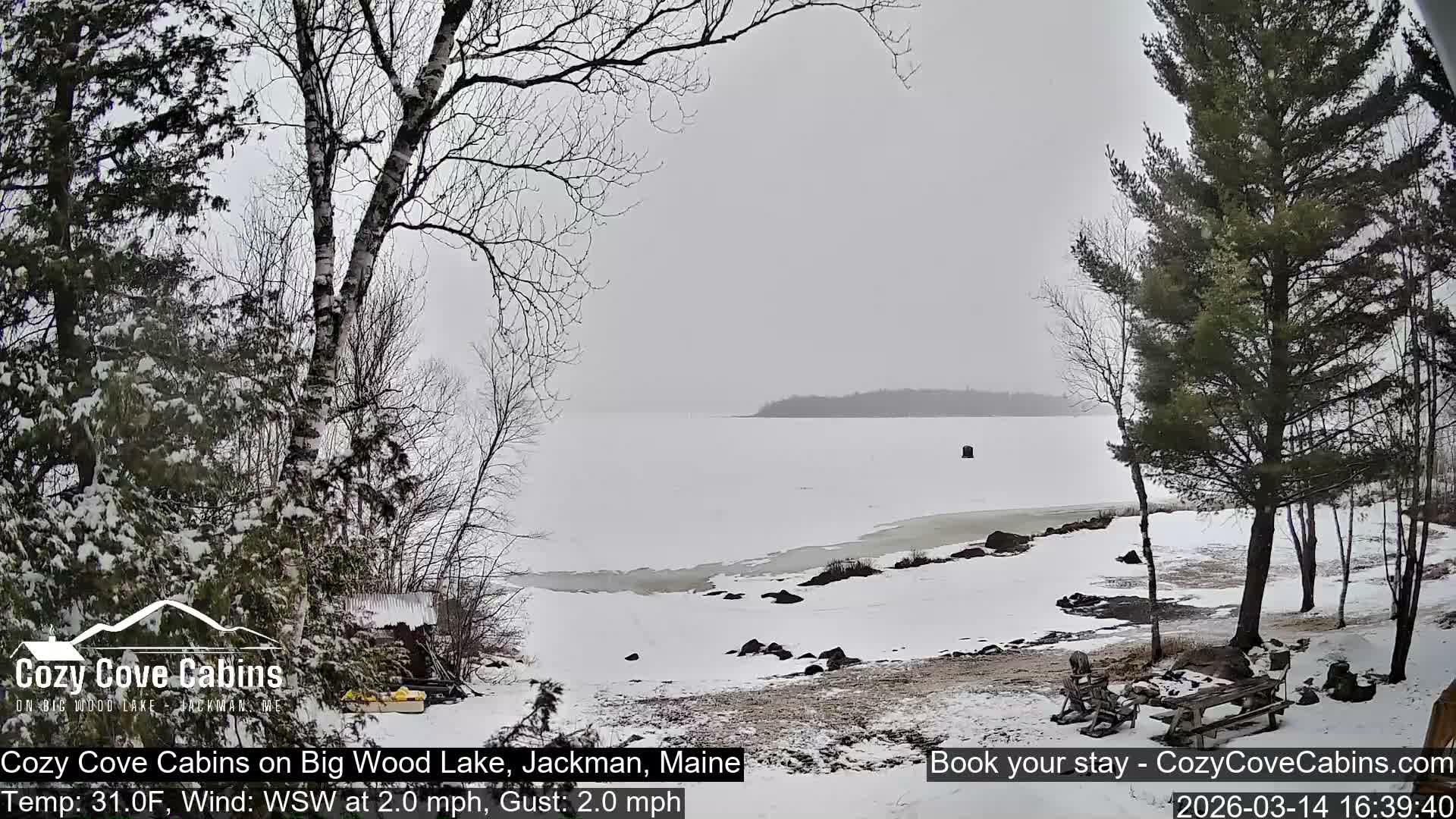 Cozy Cove Cabins, Wood Pond Live Cam - Jackman, Maine,  USA