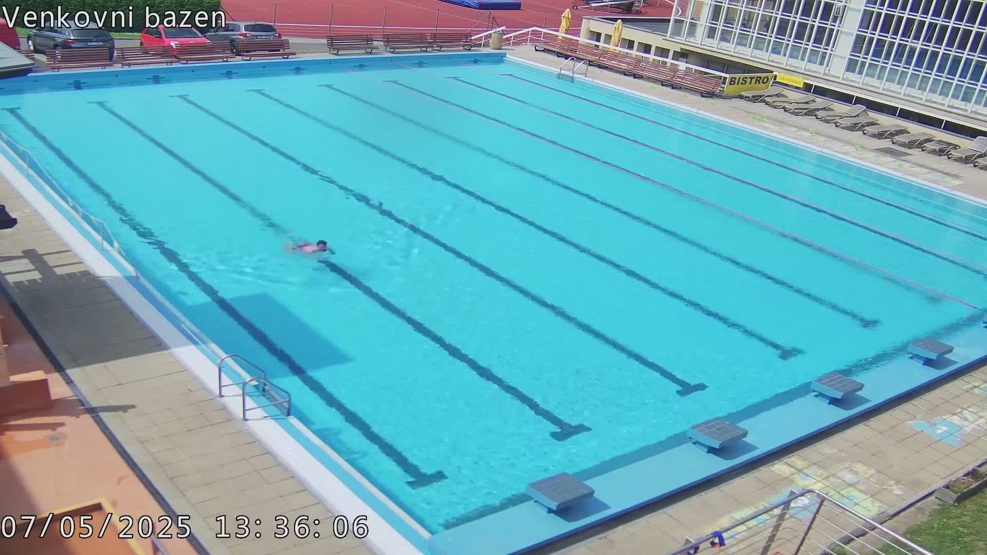 A person swims laps in a light blue outdoor pool on a sunny day.