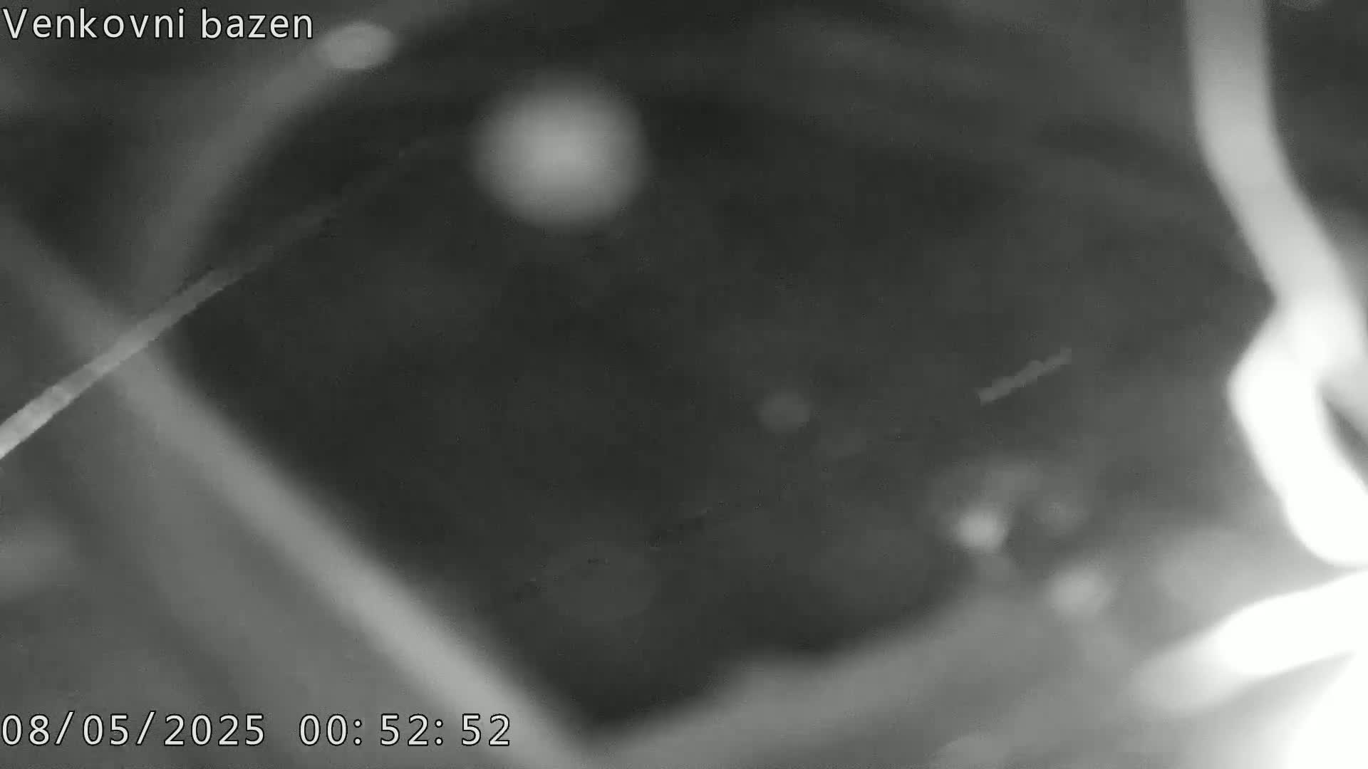 A grainy, blurry black and white image shows an out-of-focus view of what appears to be an underwater scene at night.