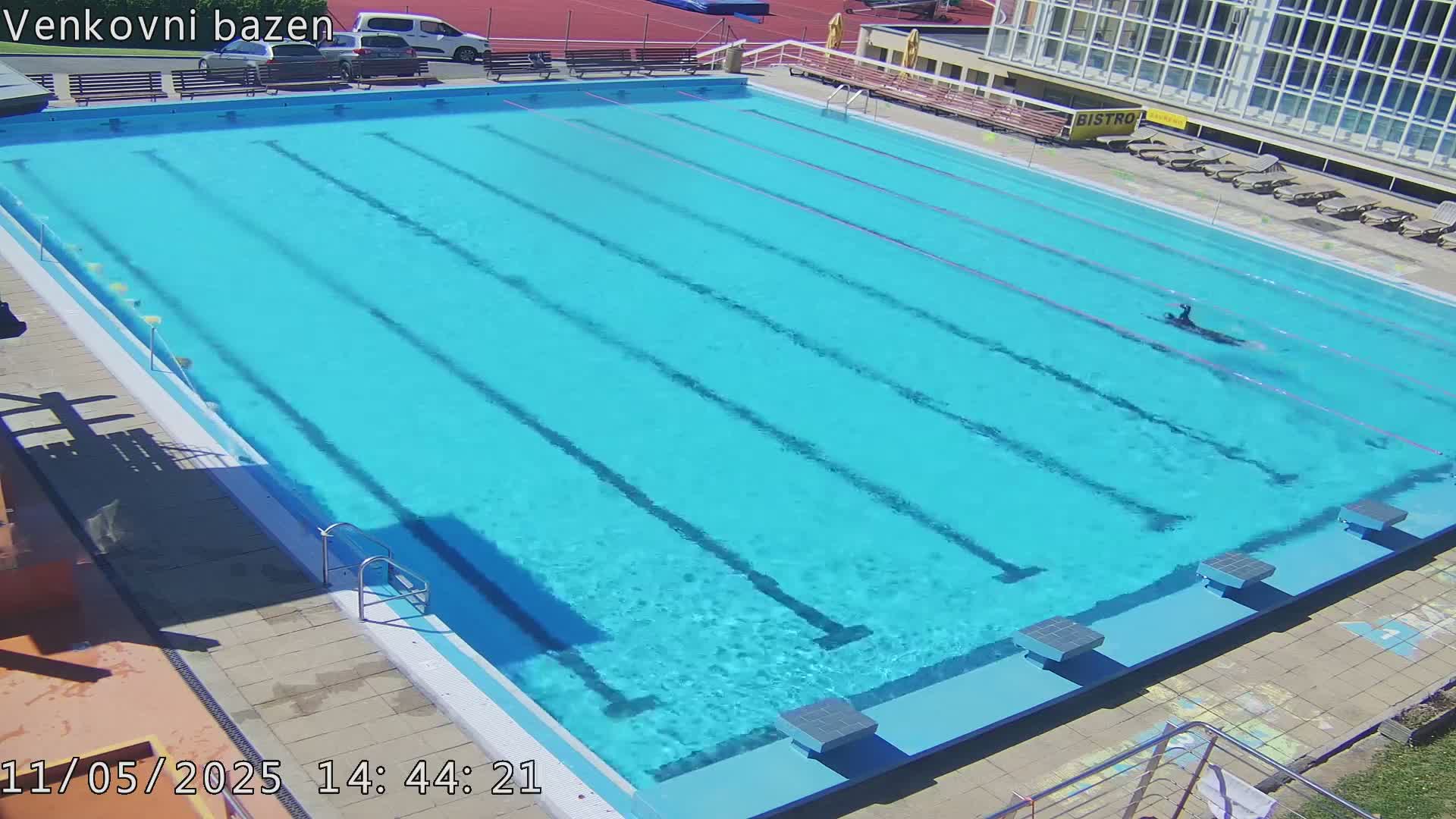A person swims laps in a sunny outdoor swimming pool with multiple lanes.