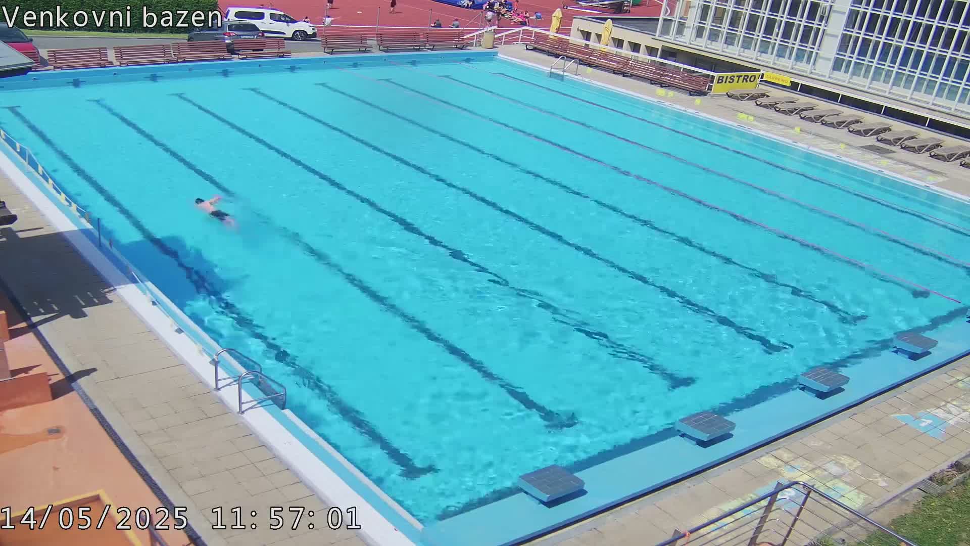 A person swims laps in a large outdoor pool on a sunny day.